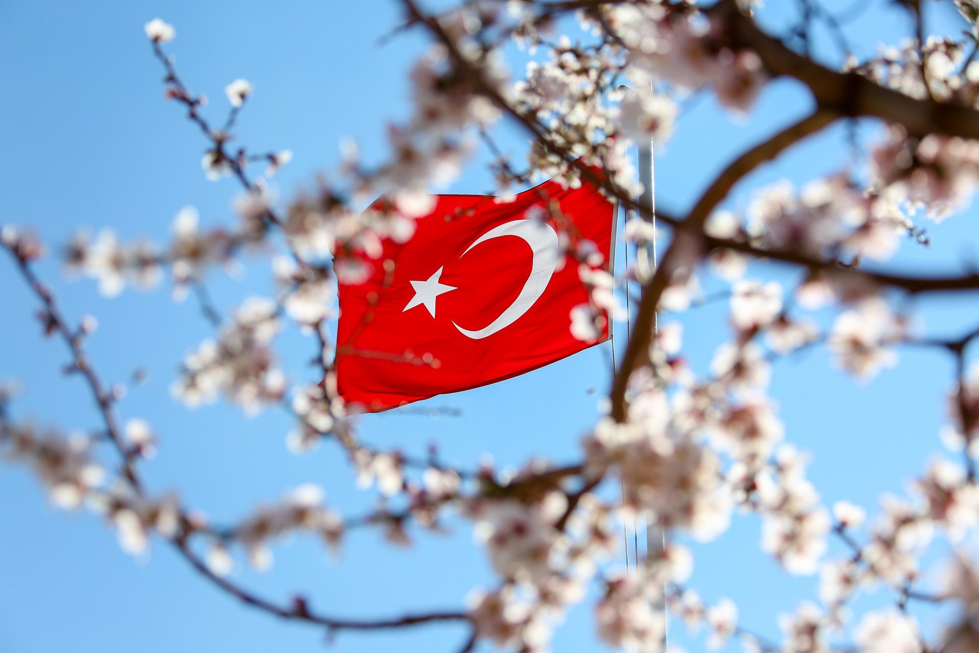 Baharın müjdecisi kiraz çiçeklerinin arkasında göklerde dalgalanan Türk bayrağı.