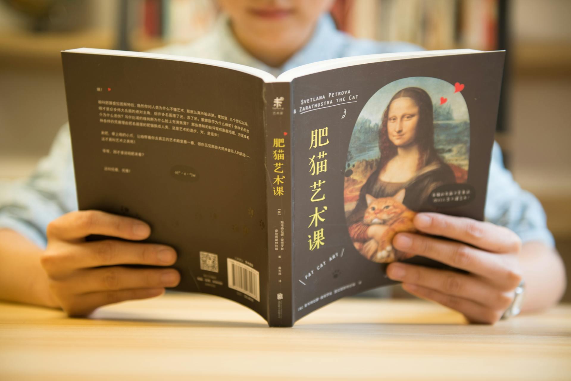 Japonca kitap mona Lisa