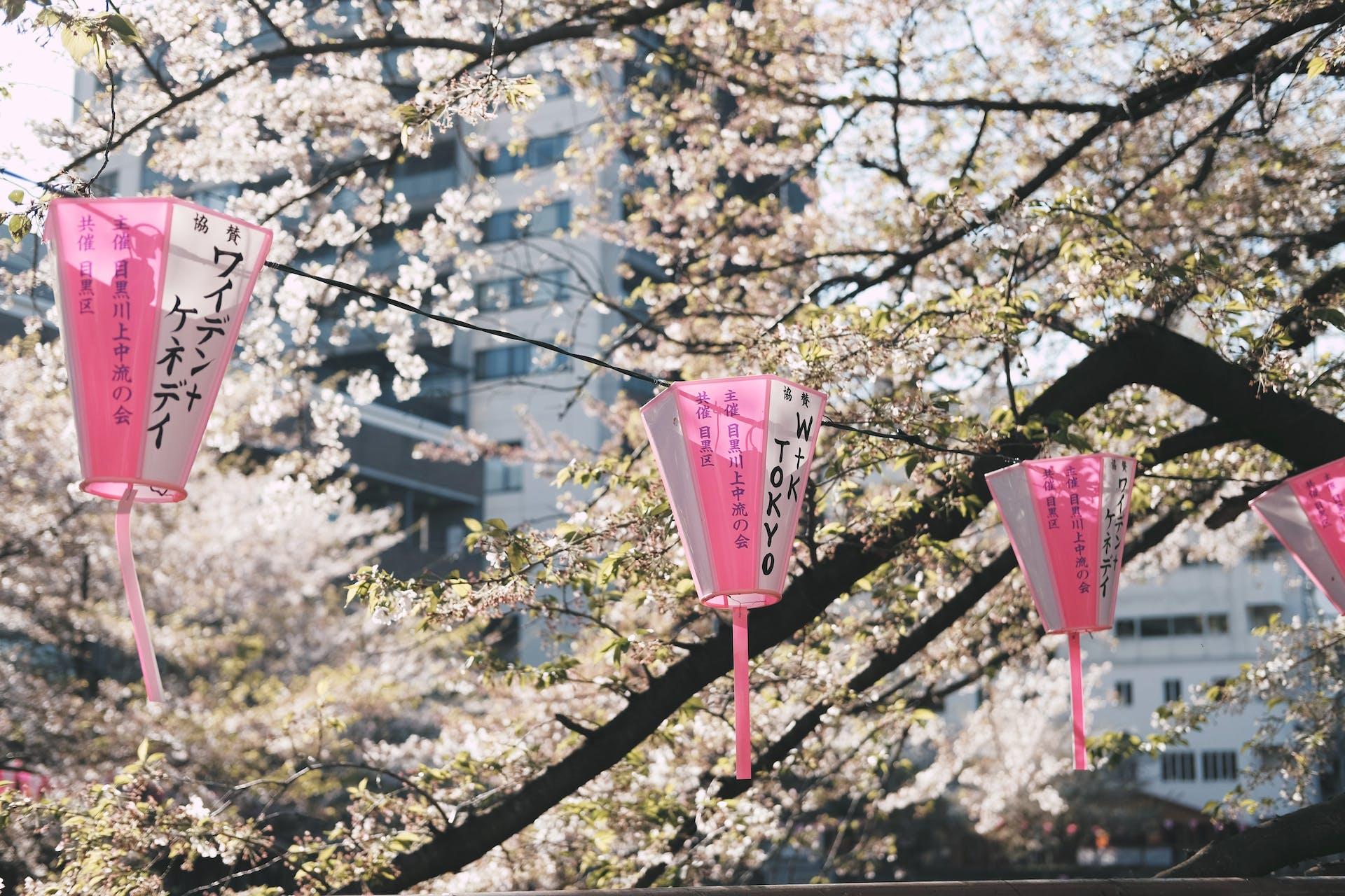 Japon festival