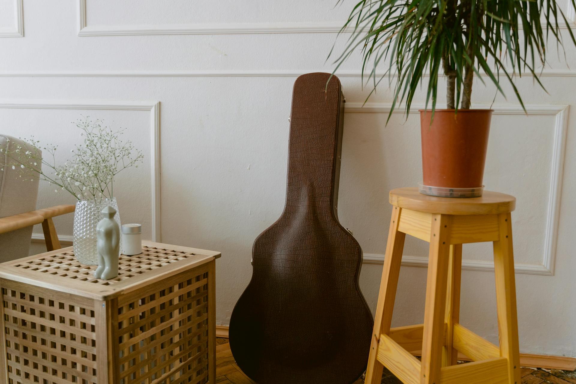 Gitar kılıfı