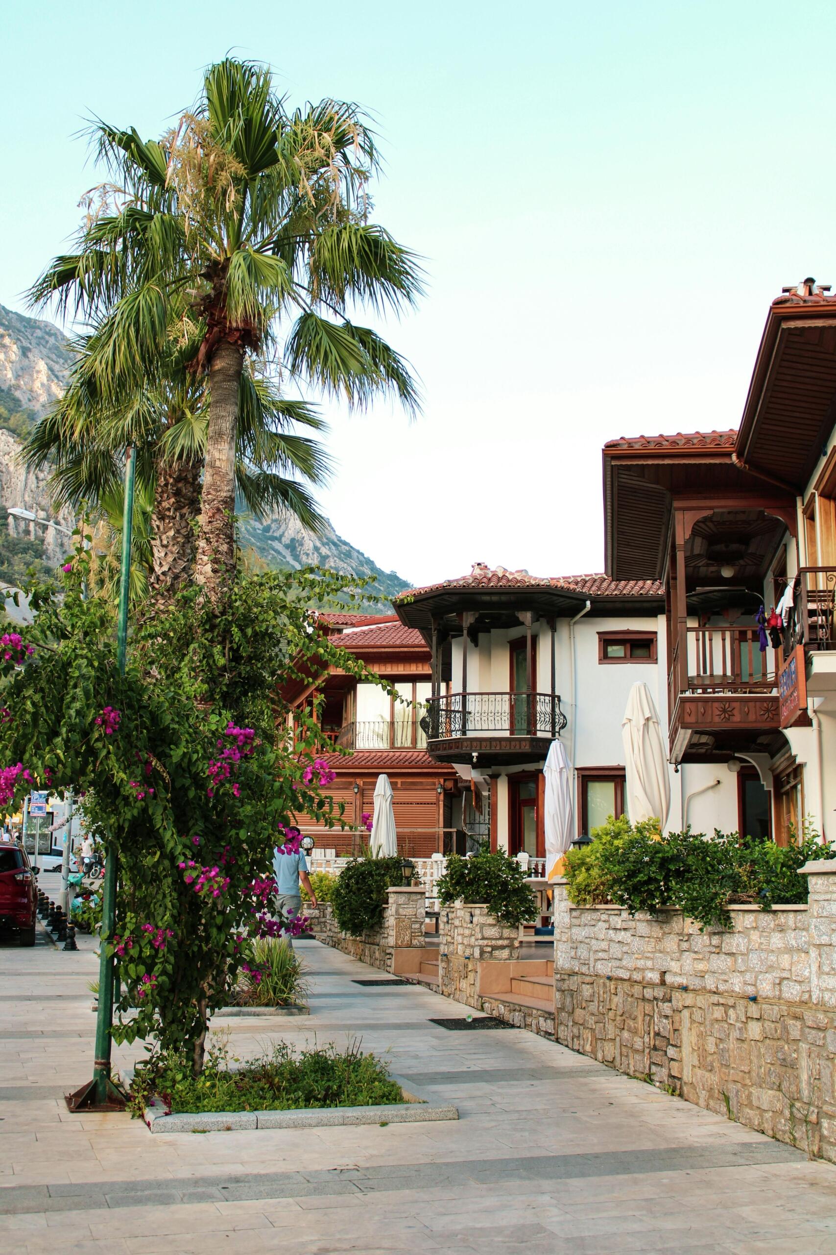 Akyaka'da palmiye ağaçları, begonviller ve geleneksel mimarili beyaz evlerin sıralandığı huzurlu bir sokak manzarası.