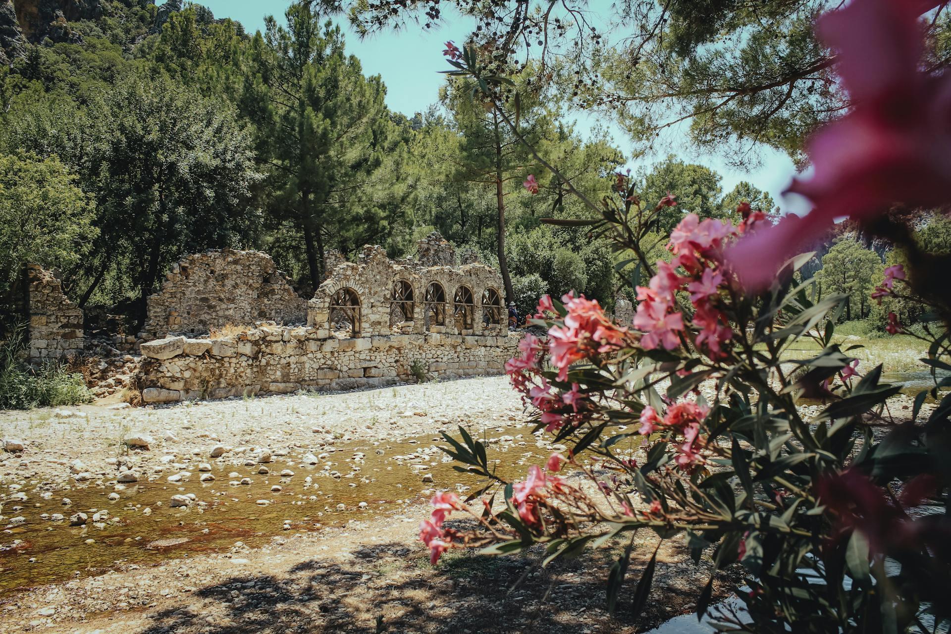 Burada Helenistik, Roma, Bizans dönemine ait birçok buluntu yer alıyor. Kaynak: Pexels