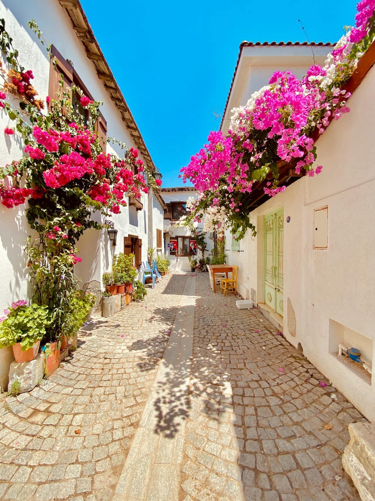 Seferihisar kuzeyde Urla, Doğuda Menderes, batı ve güneyde Ege Denizi ile çevrilidir. Kaynak:Pexels 