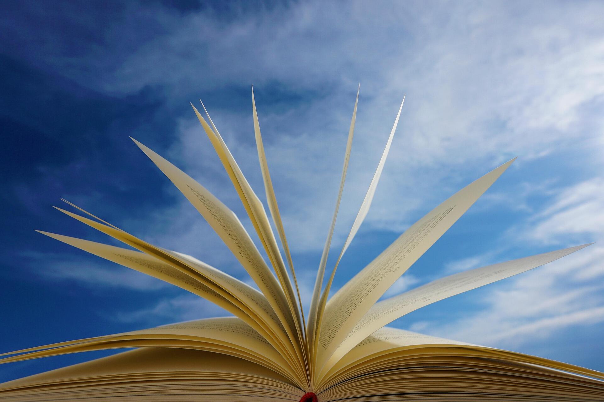 sayfaları uçuşan bir kitap