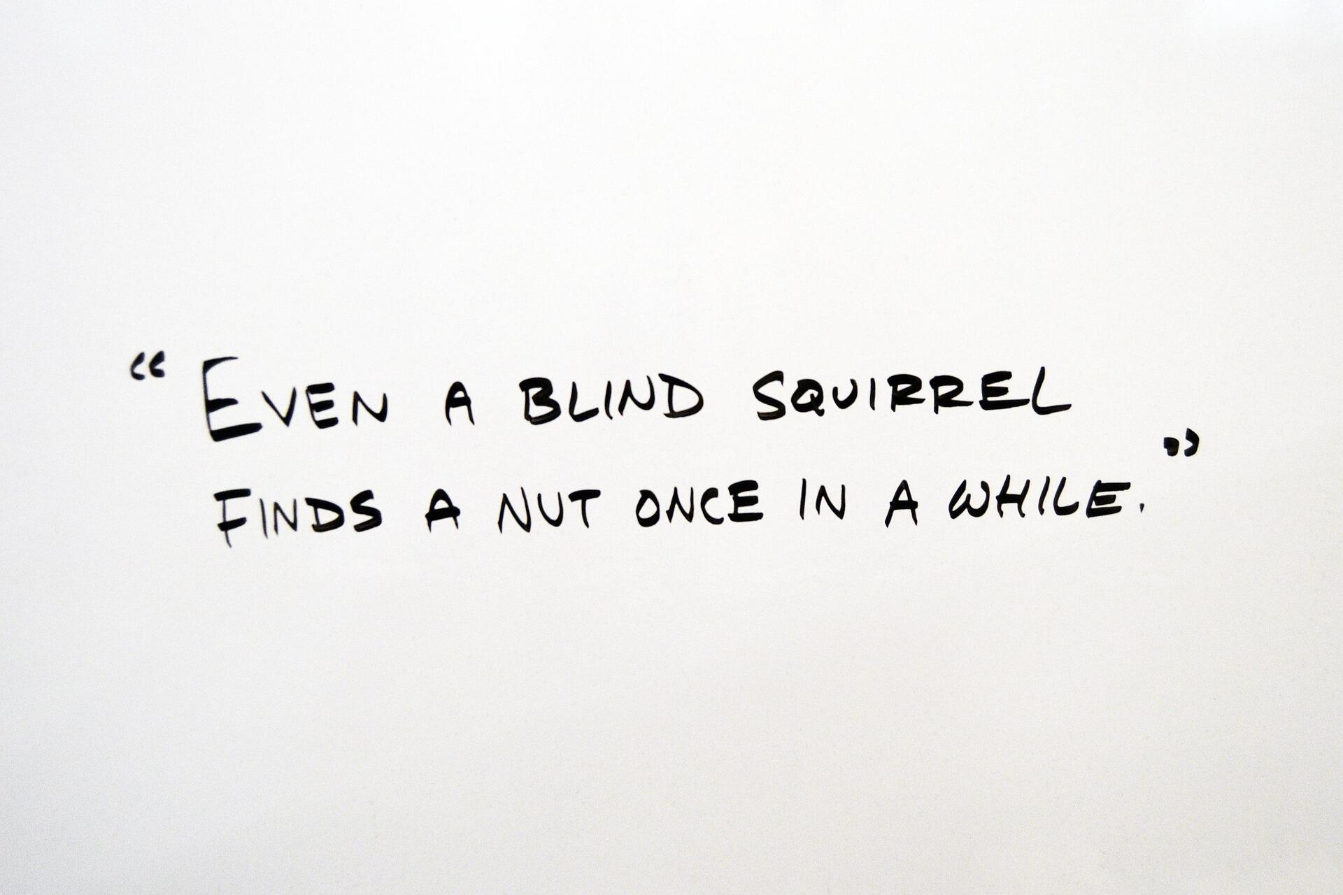 Even a blind squirrel finds a nut once in a while yazılı motivasyon sözü, şans ve azimle ilgili İngilizce bir deyimi temsil eden beyaz zemin üzerinde el yazısı metin.