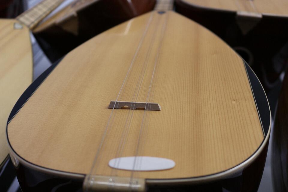 bir enstrüman olarak bağlama