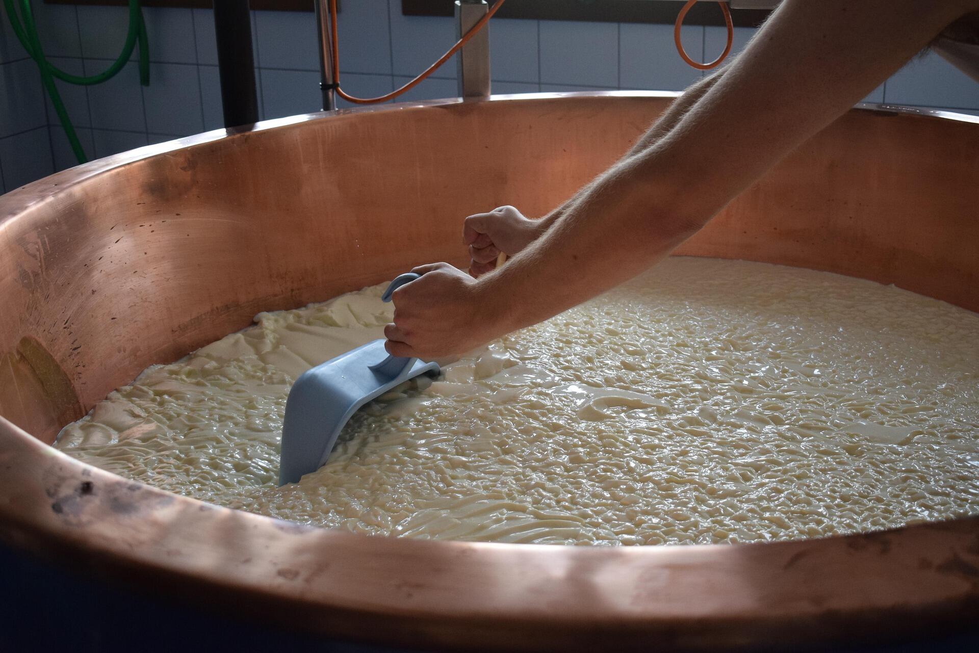 peynir uretim sureci bakir kazan.