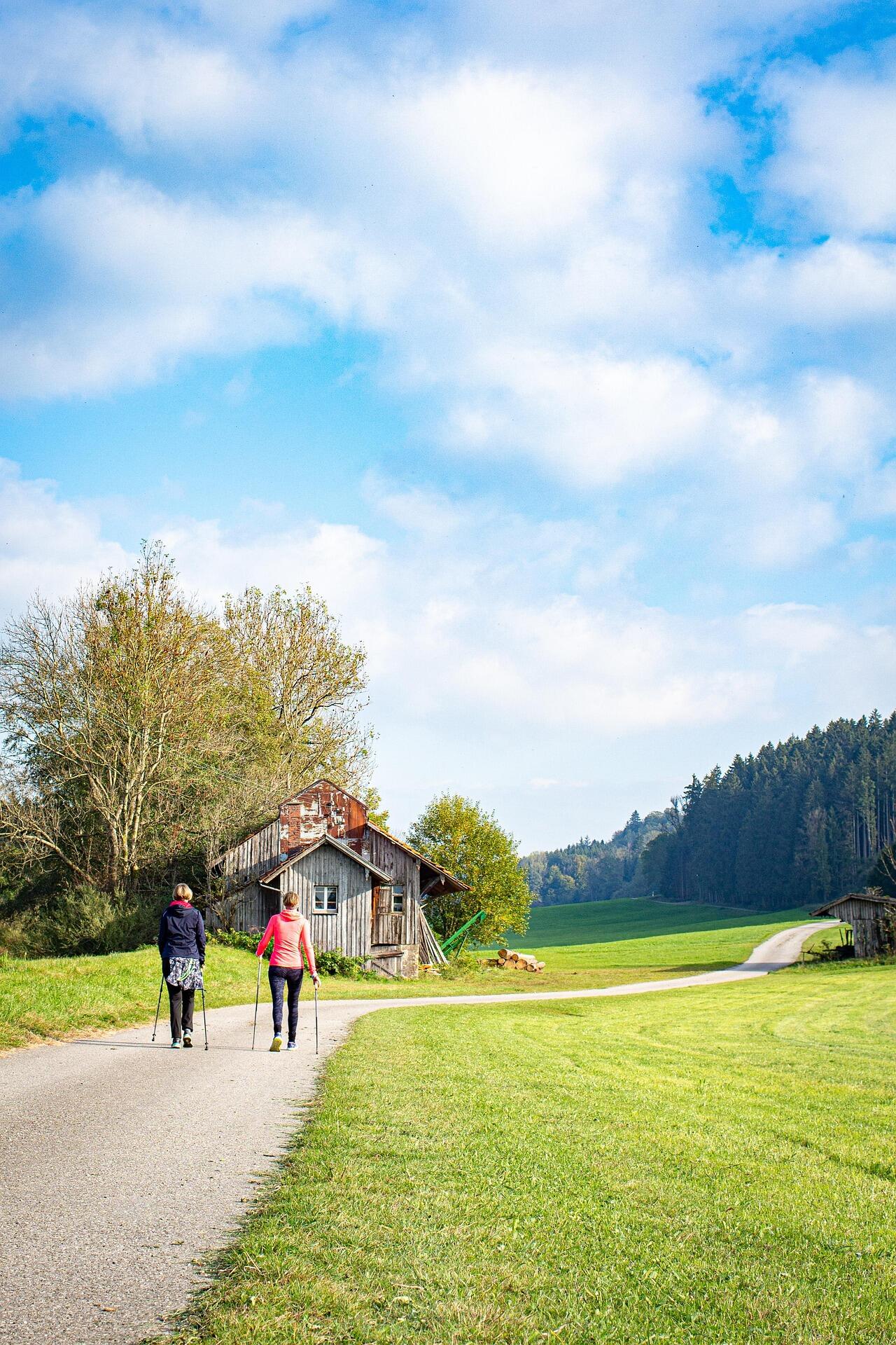 açık havada tempolu yürüyüş yapan iki kişi