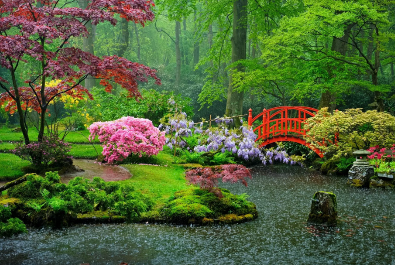 Renkli çiçekler, yemyeşil ağaçlar, gölet ve kırmızı köprüyle dikkat çeken huzurlu bir Japon bahçesi