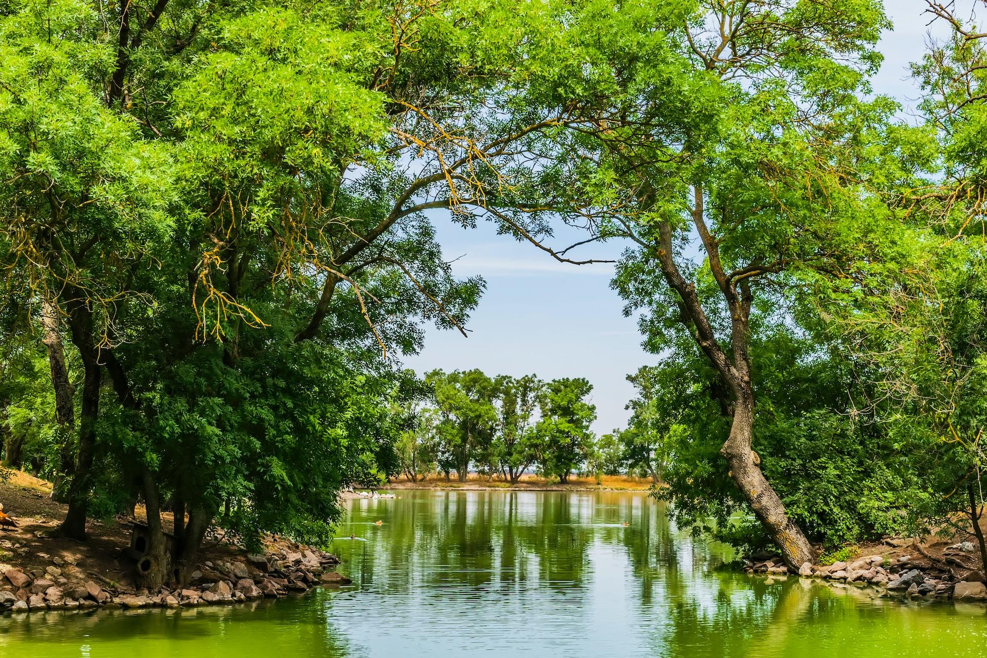 заповідник