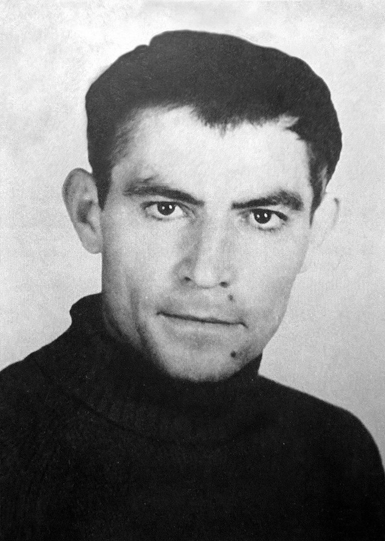 василь стус
