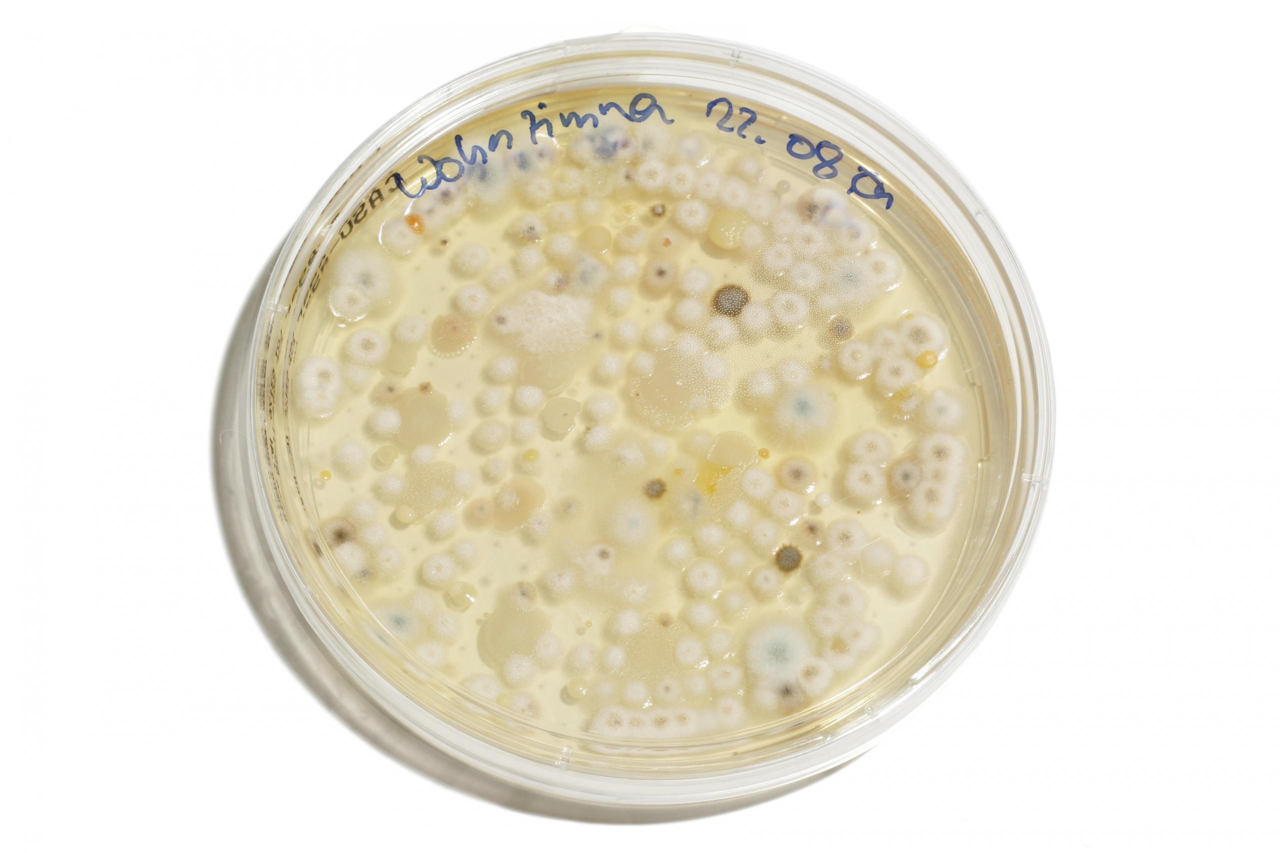 хімічне обладнання