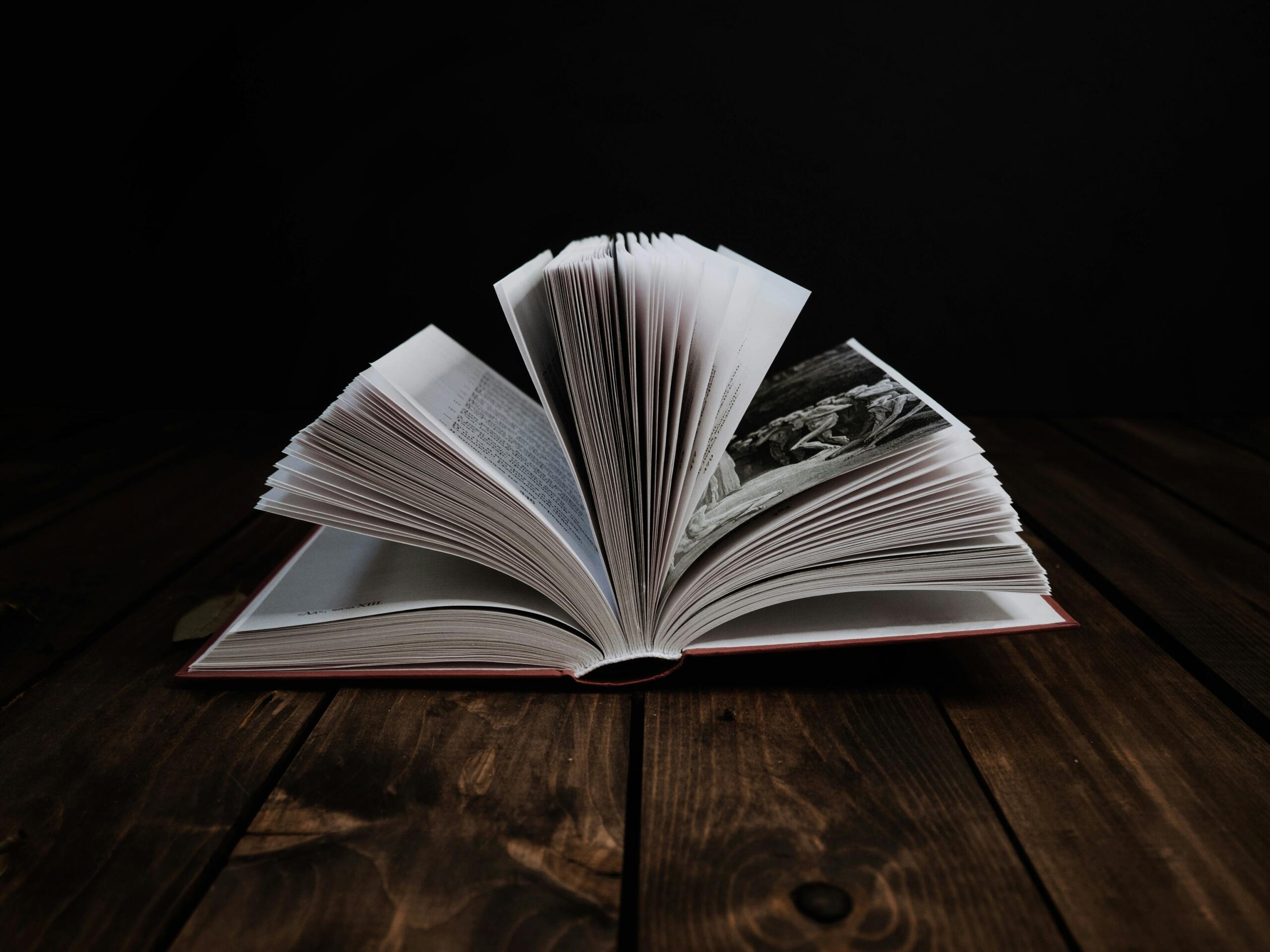 розкрита книга з білими сторінками