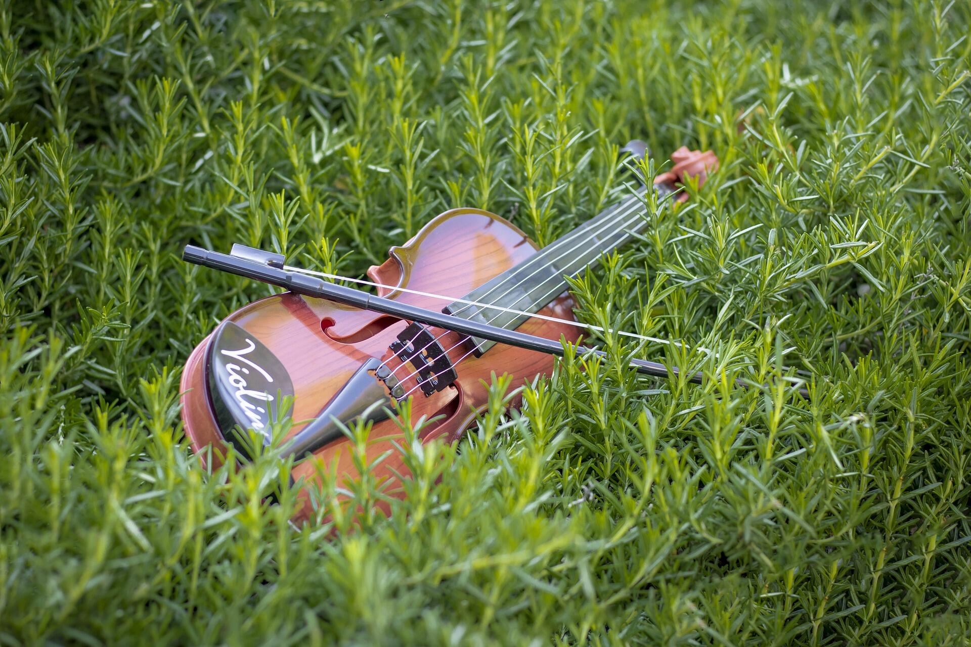 Скрипка та траві