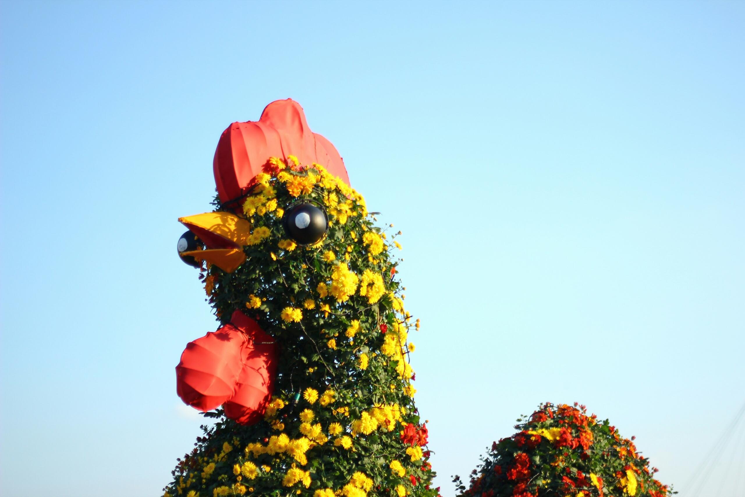 фігура півня з квітів