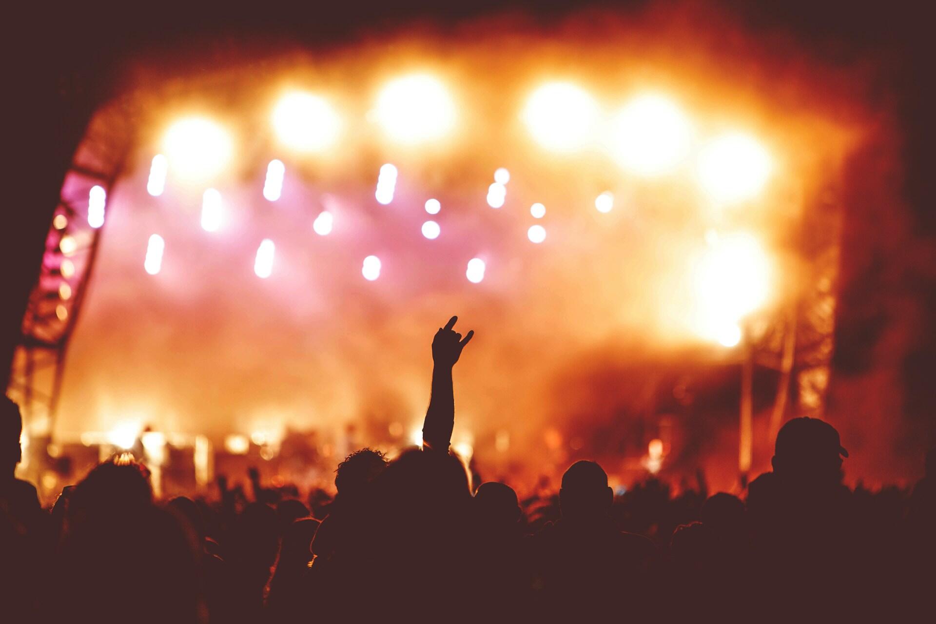 Crowd at the concert
