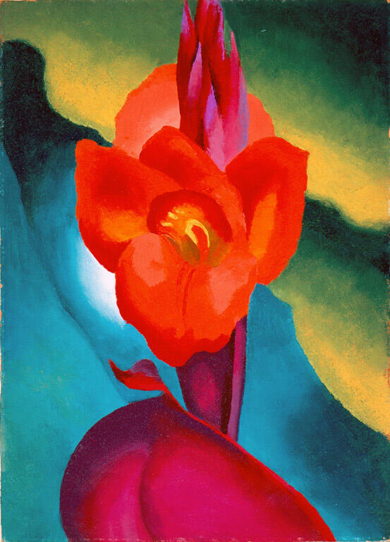Georgia_O'Keeffe_Red_Canna_1919_HMA