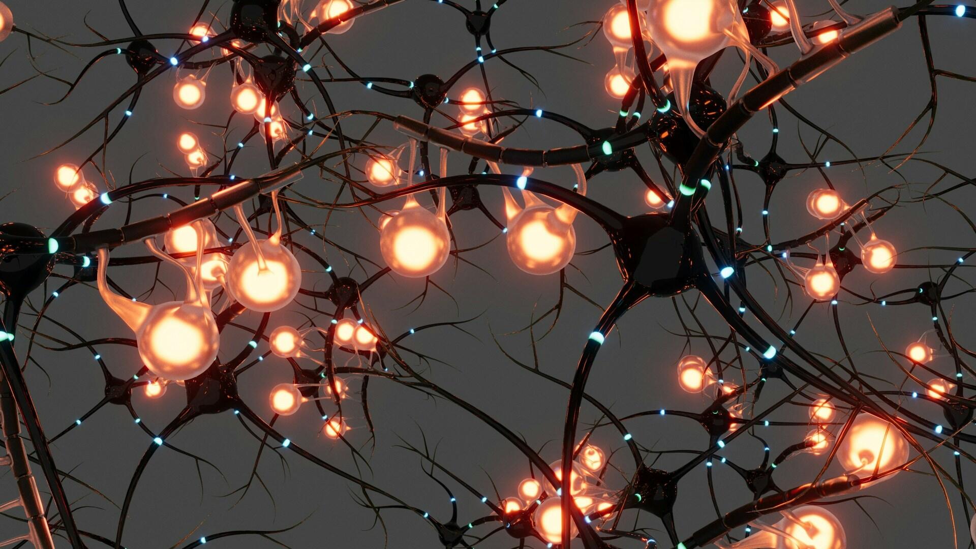 neurons
