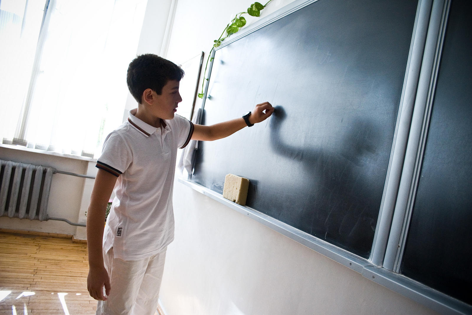 The correct cost of an Arabic lesson