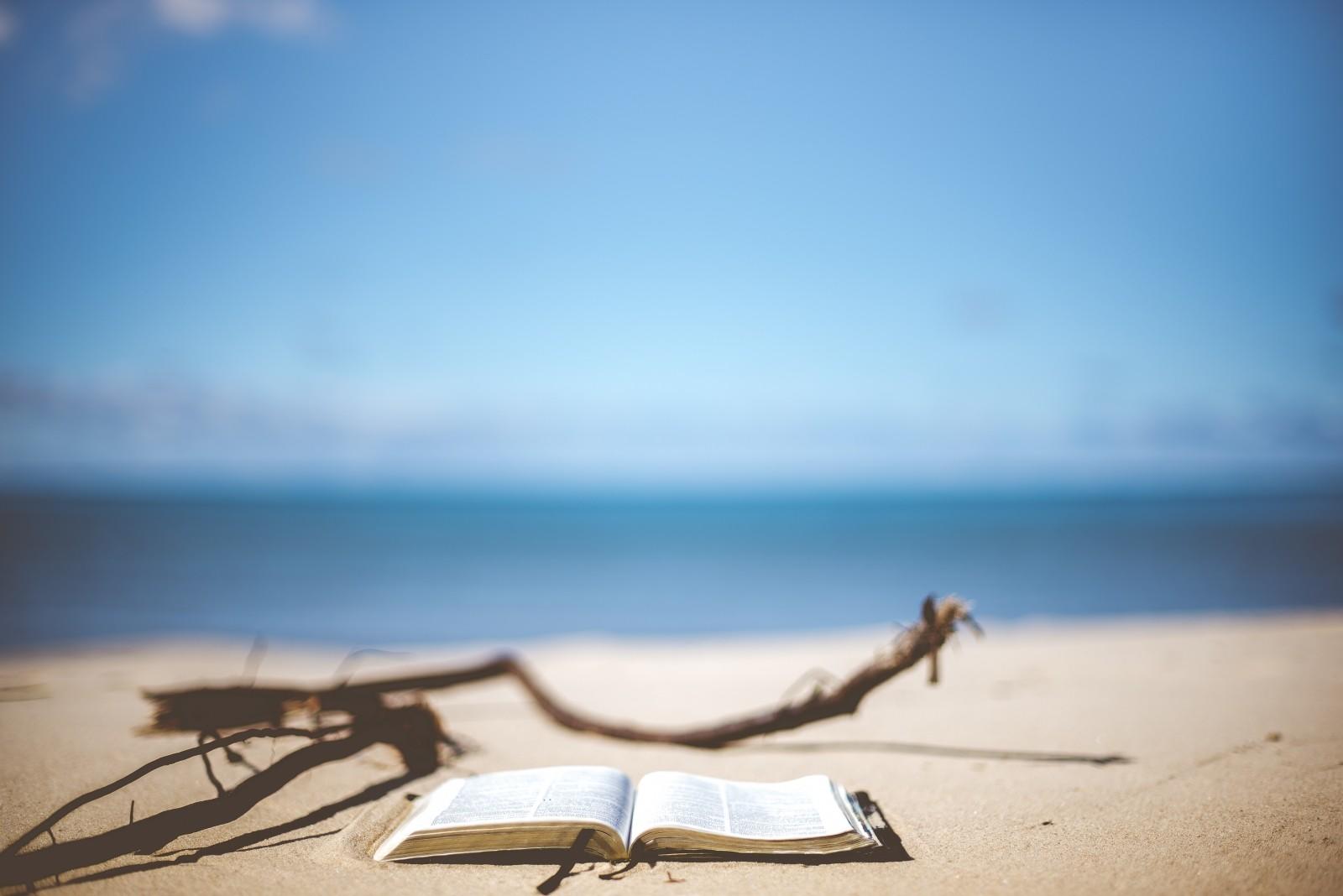 Use all available Spanish resources in order to successfully learn the language