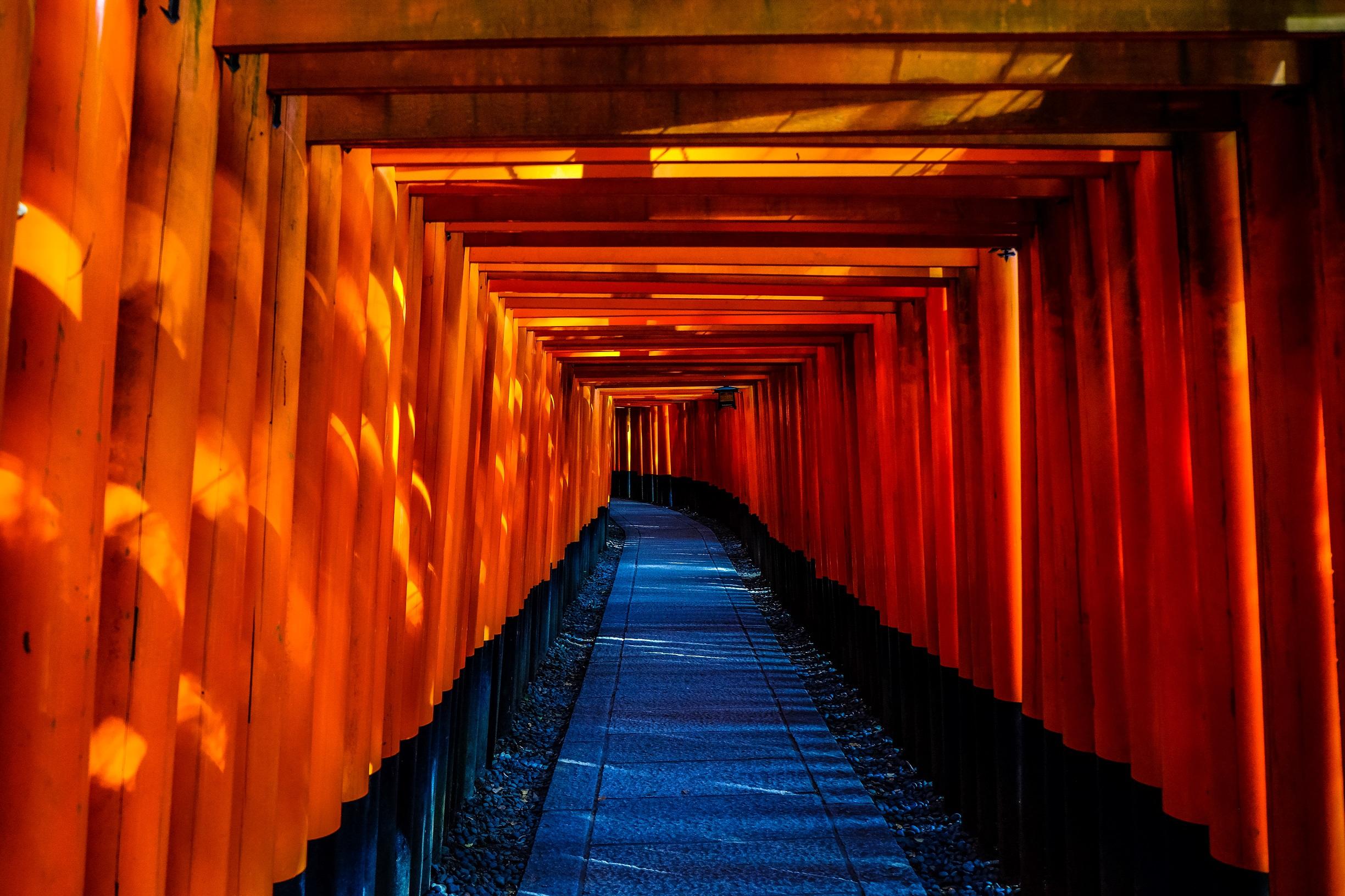 Which colleges offer Japanese classes?