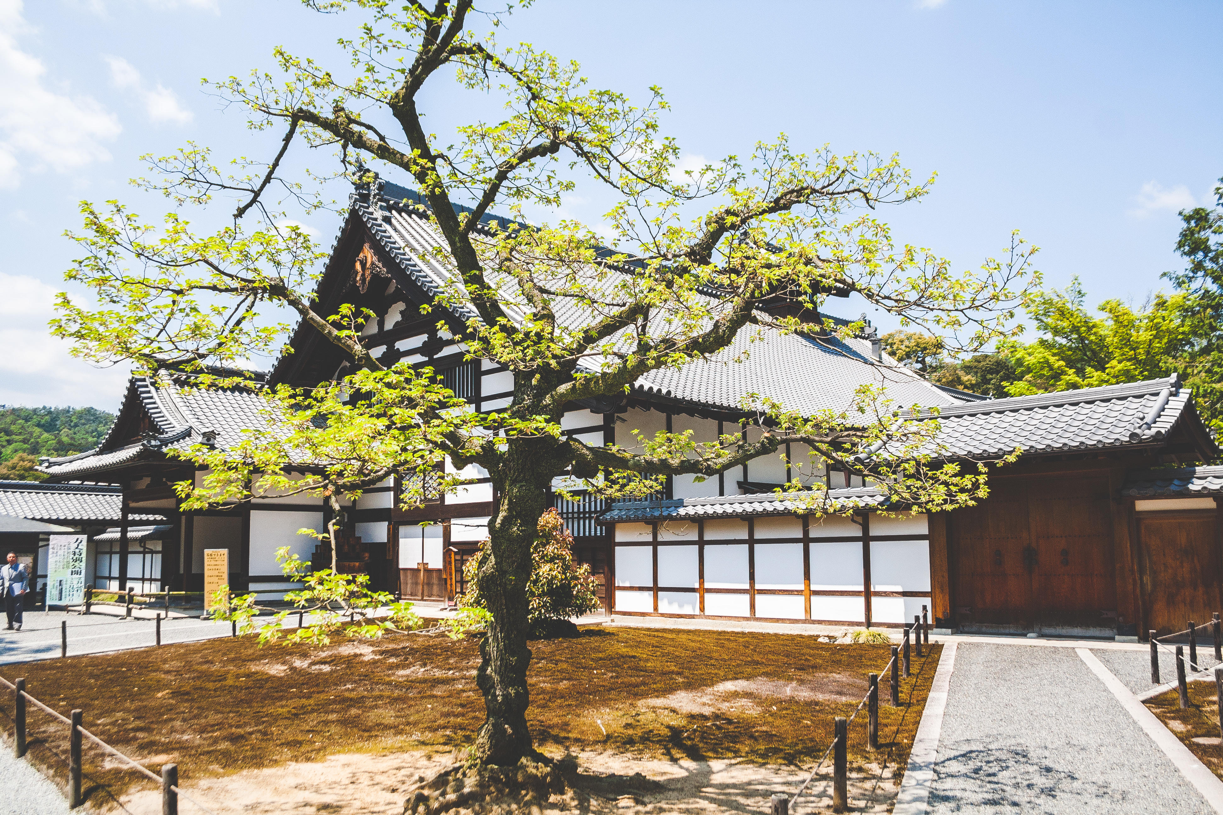 Which are the best ways to learn Japanese?