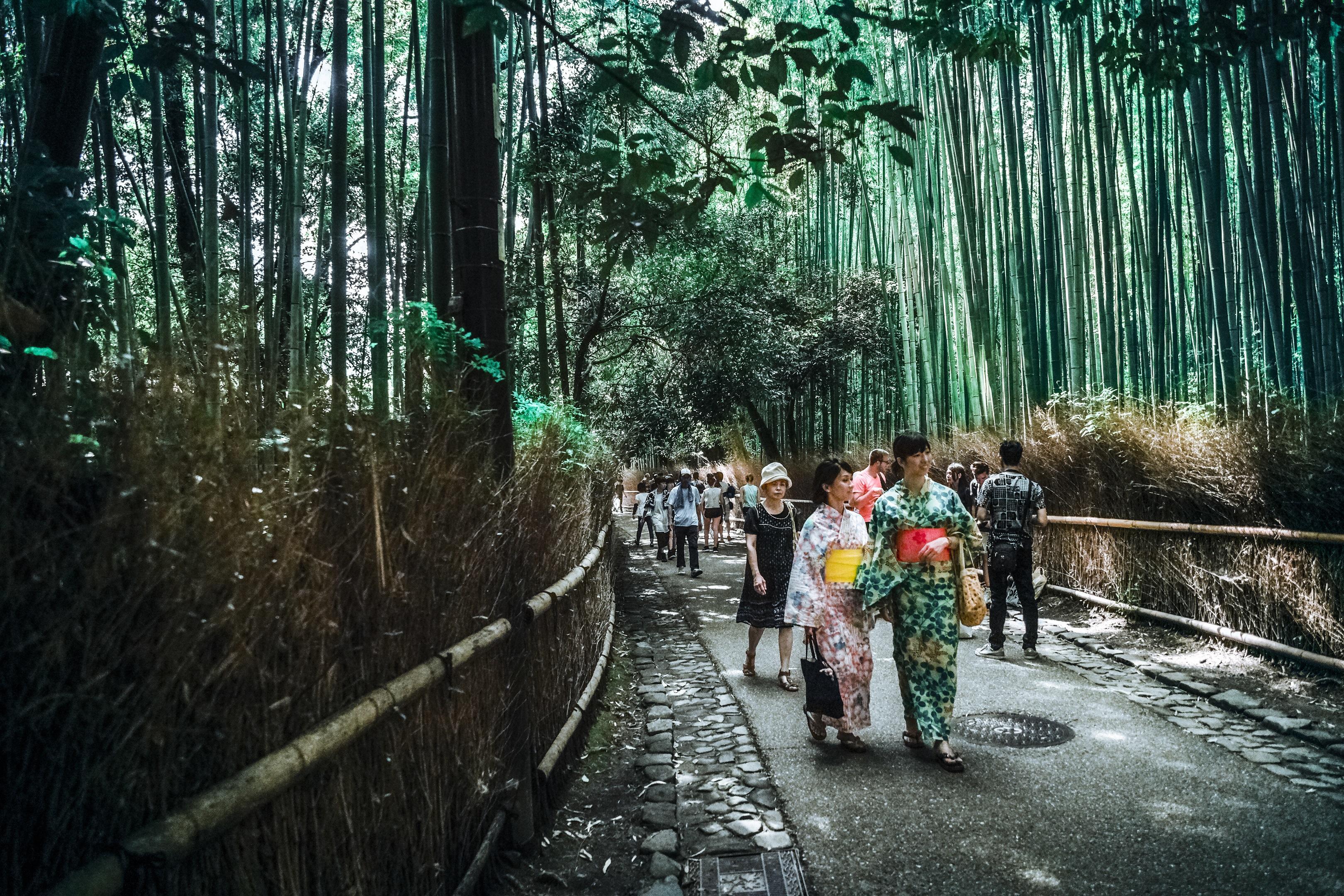 Which are the best language exchange programs in Japan?