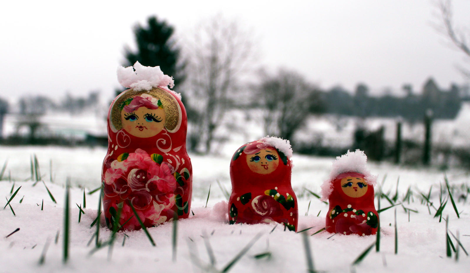 Learning the russian language without spending money