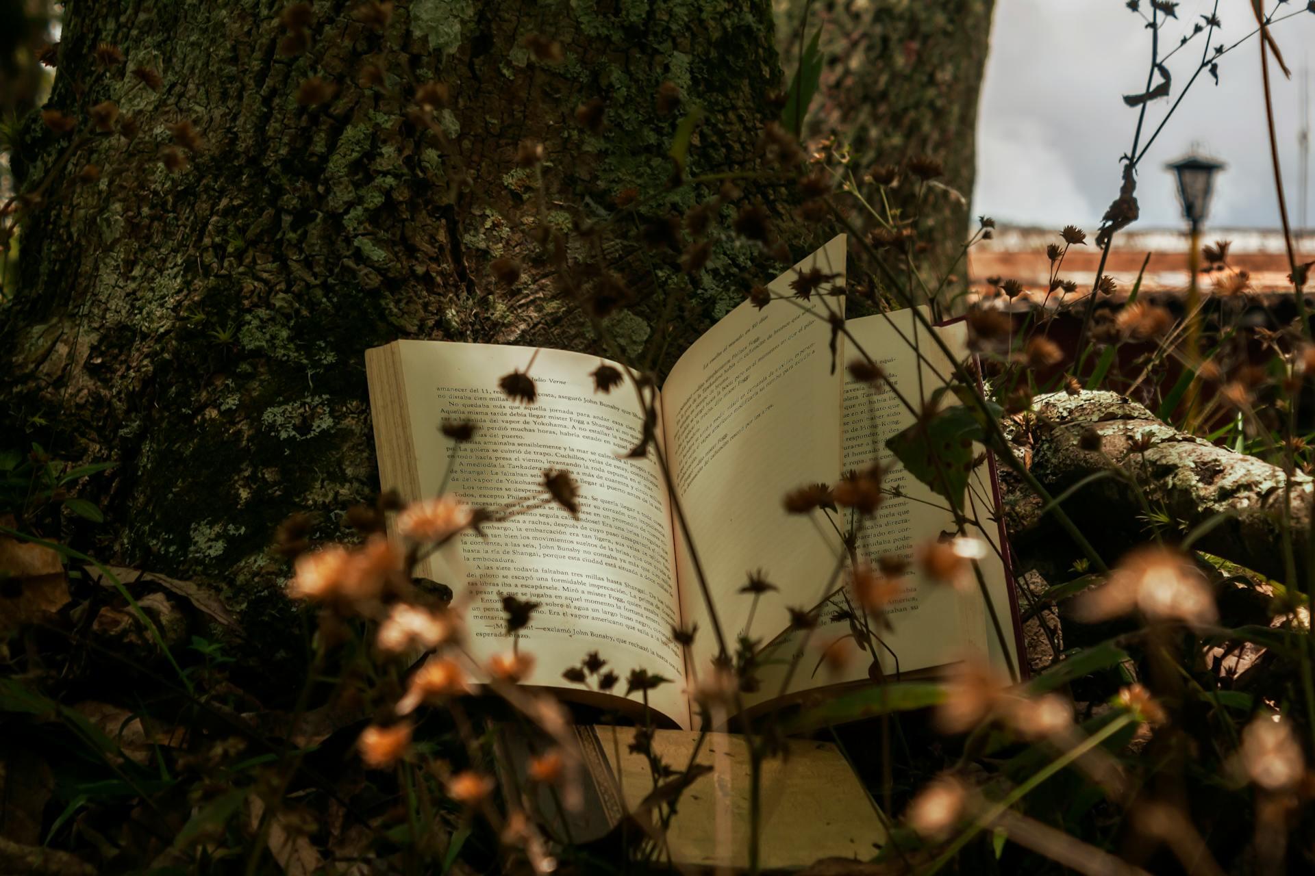 book of poetry outside laying open against a tree with flowers in the foreground