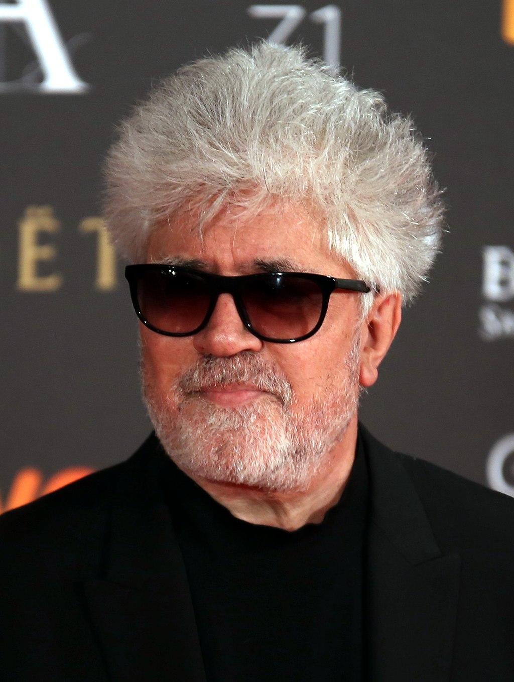 Pedro Almodovar wearing sunglasses