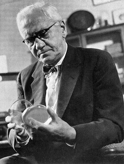 Alexander Fleming looking at a petri dish