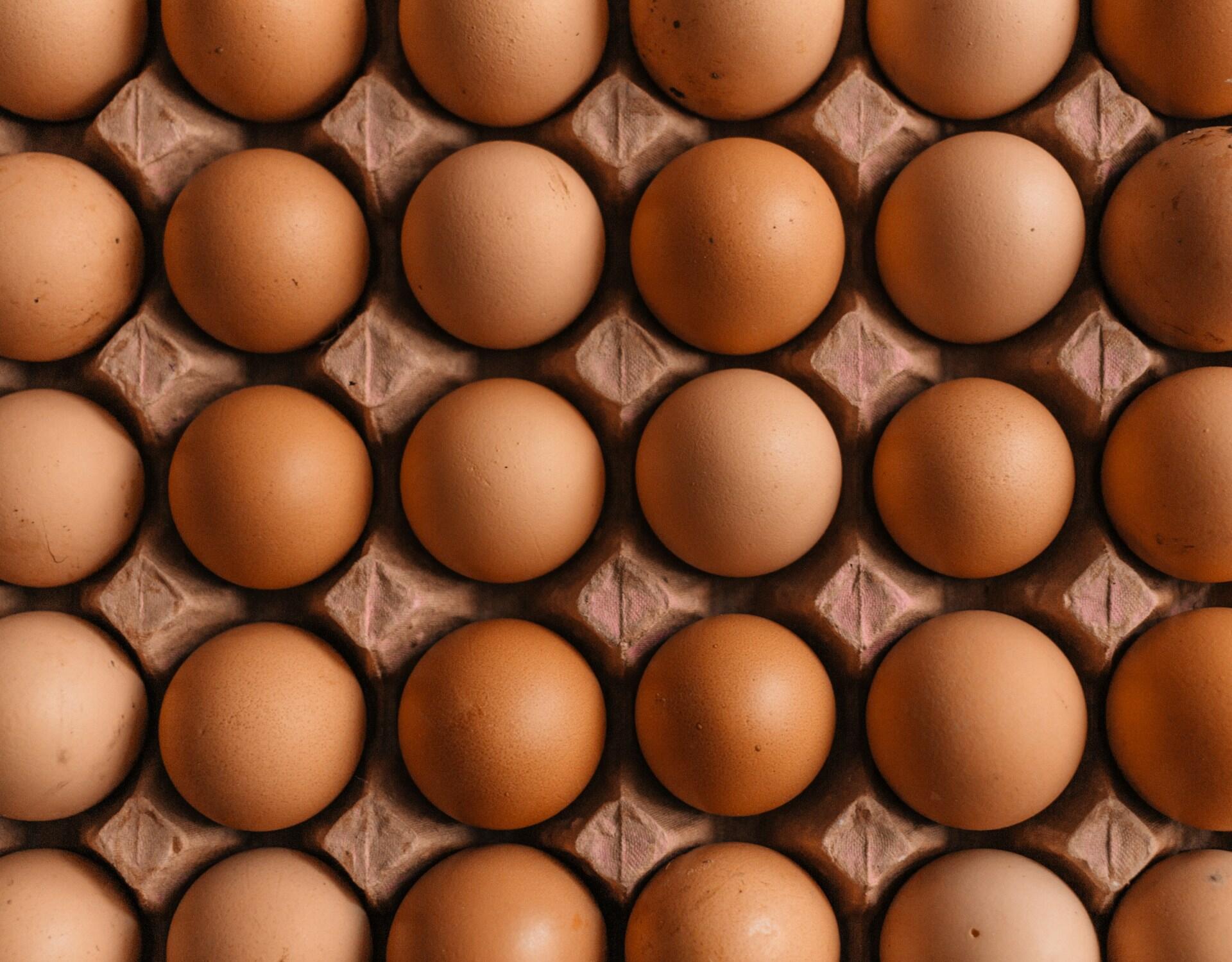 A carton of eggs.