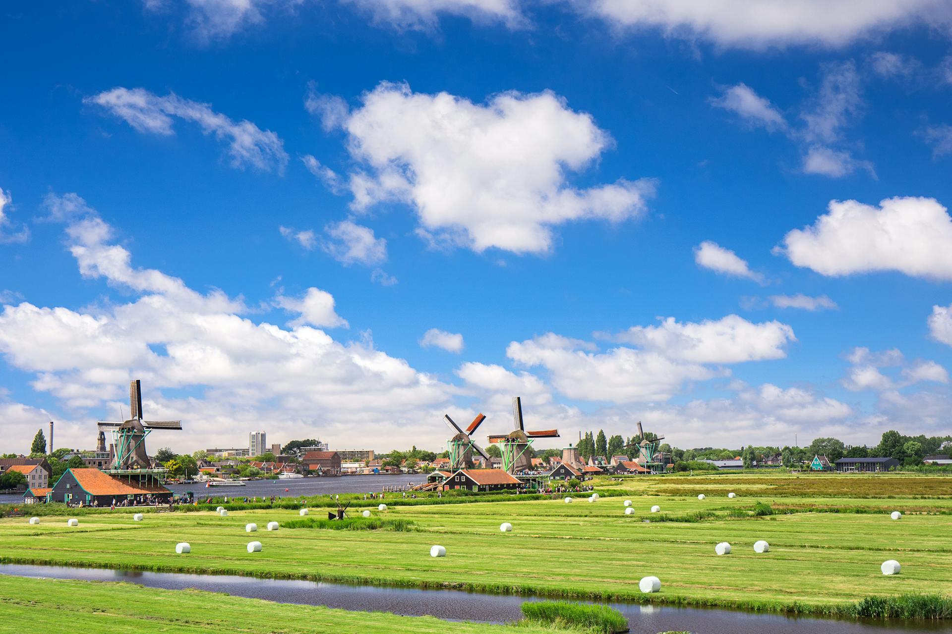 Windmills in a green field