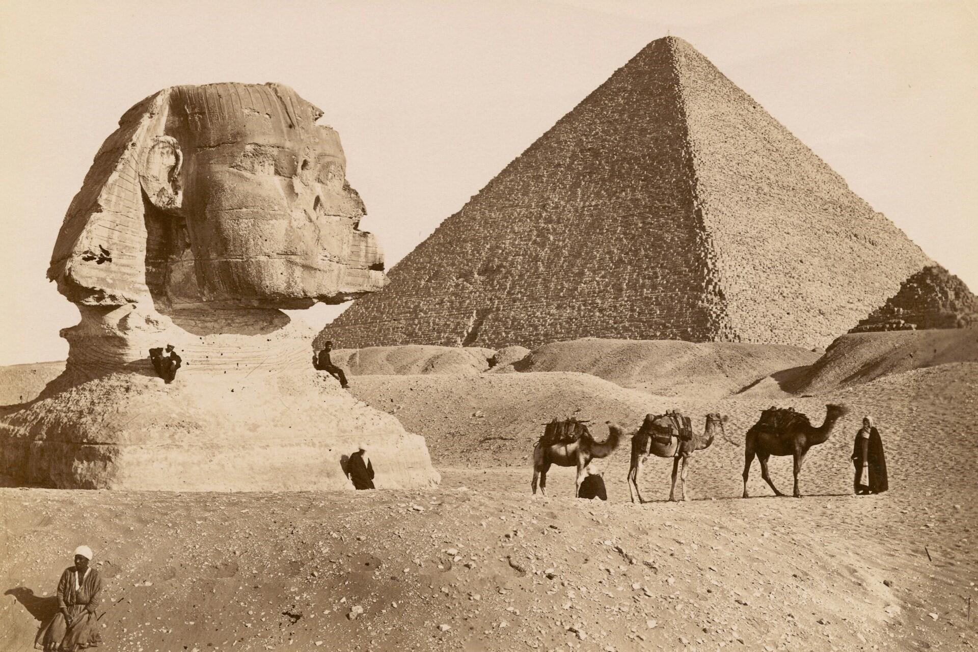 Historic photograph showing the Great Sphinx in the foreground with a large pyramid and camels in the background.