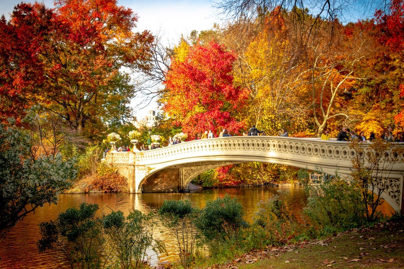 Central Park in Autumn