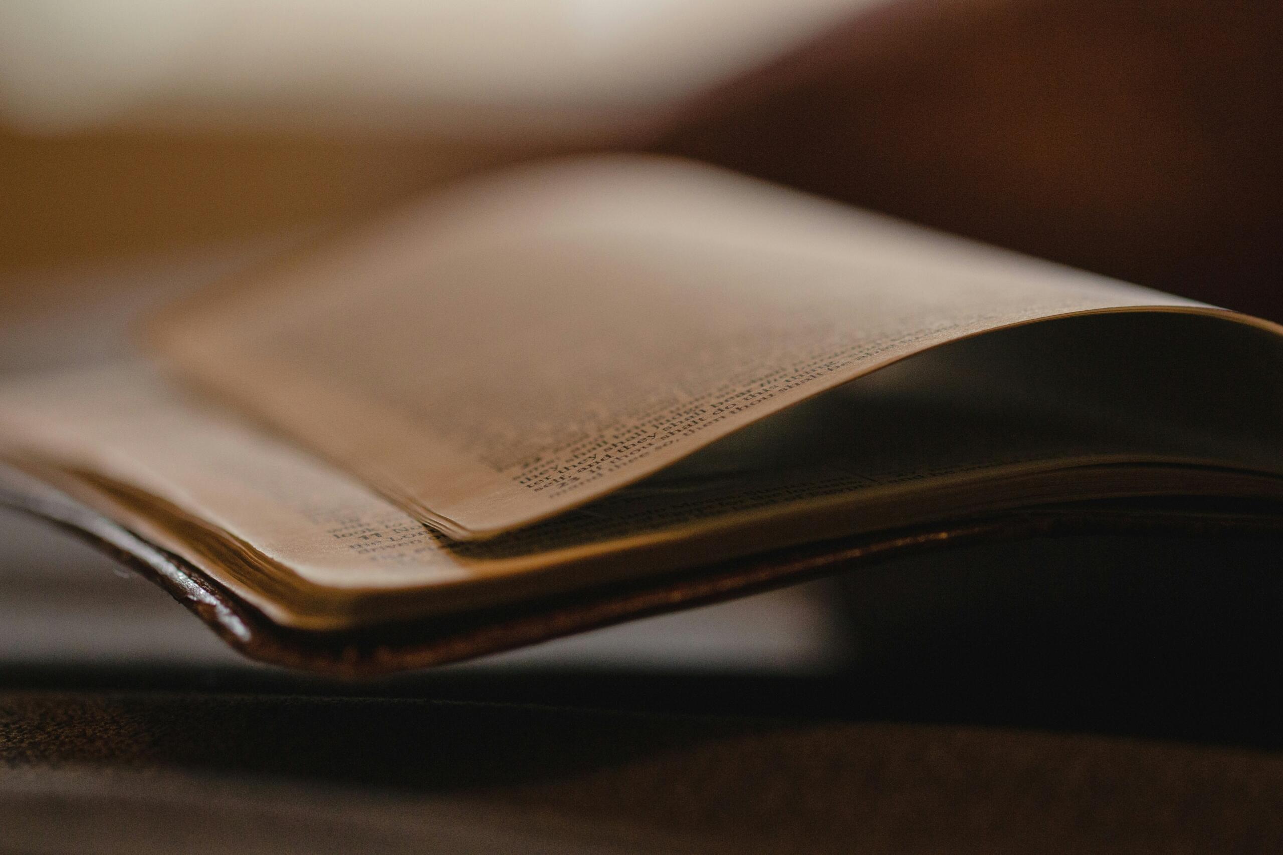 Focus on an open book.