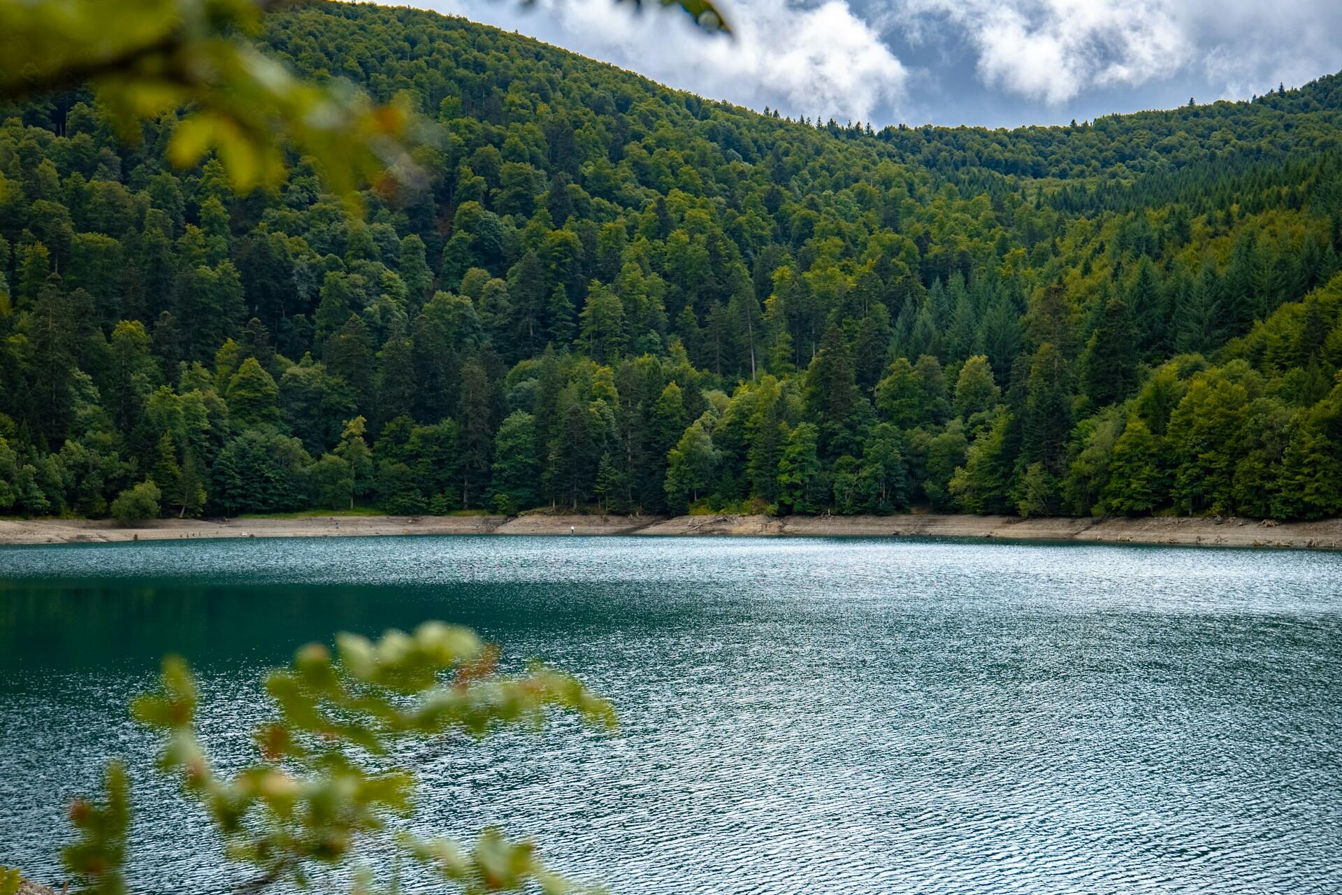 A landscape of a lake and mountain.