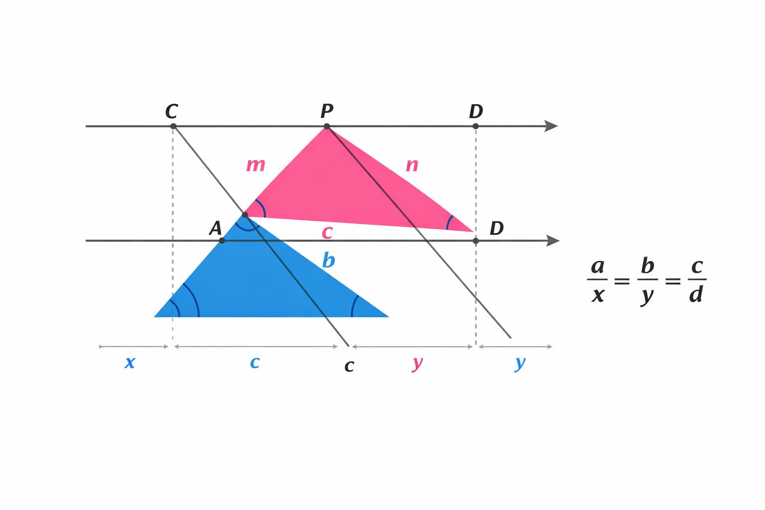 geometric diagram showing Thales theorem with parallel lines and proportional triangles