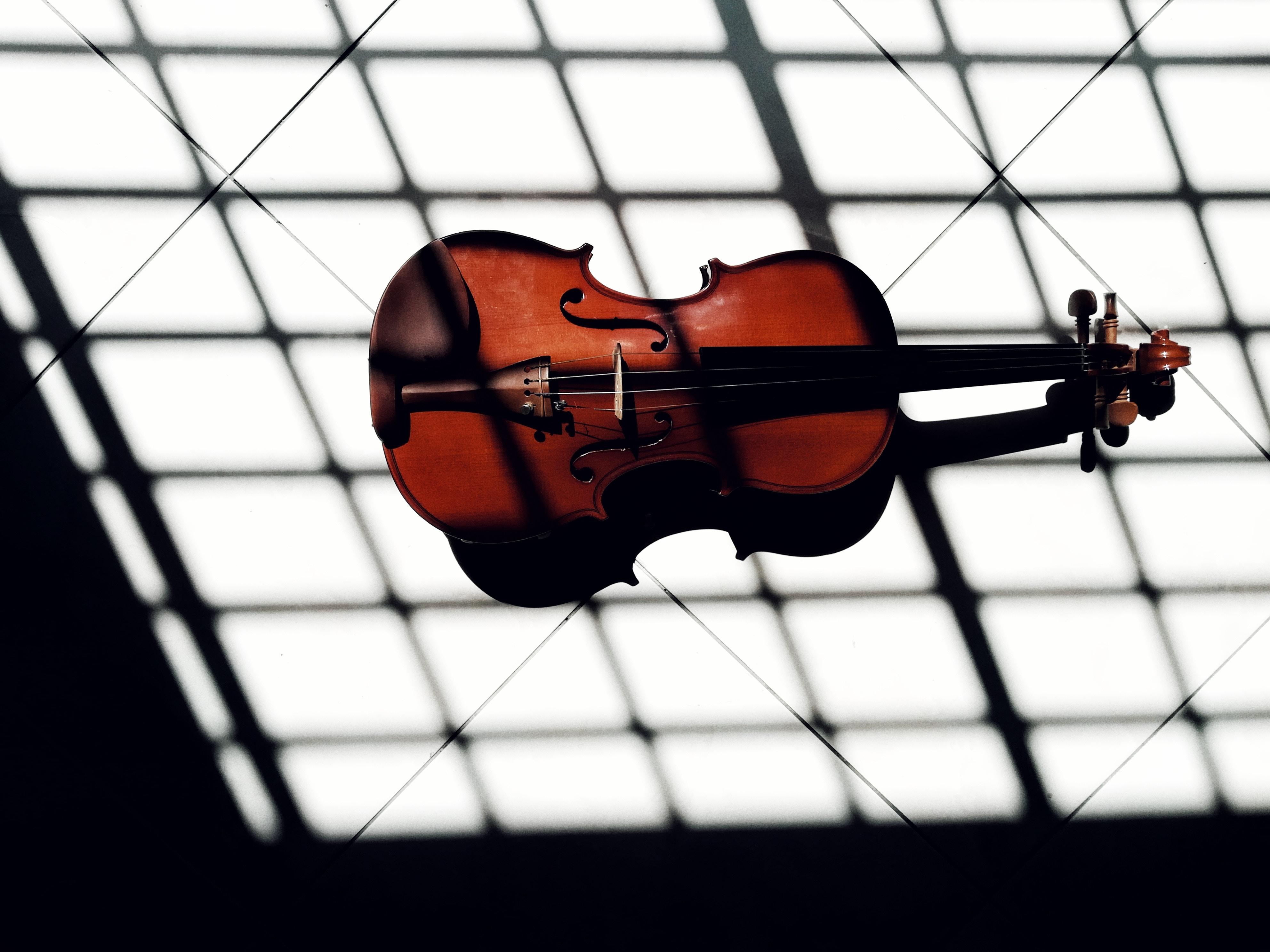 violin lessons