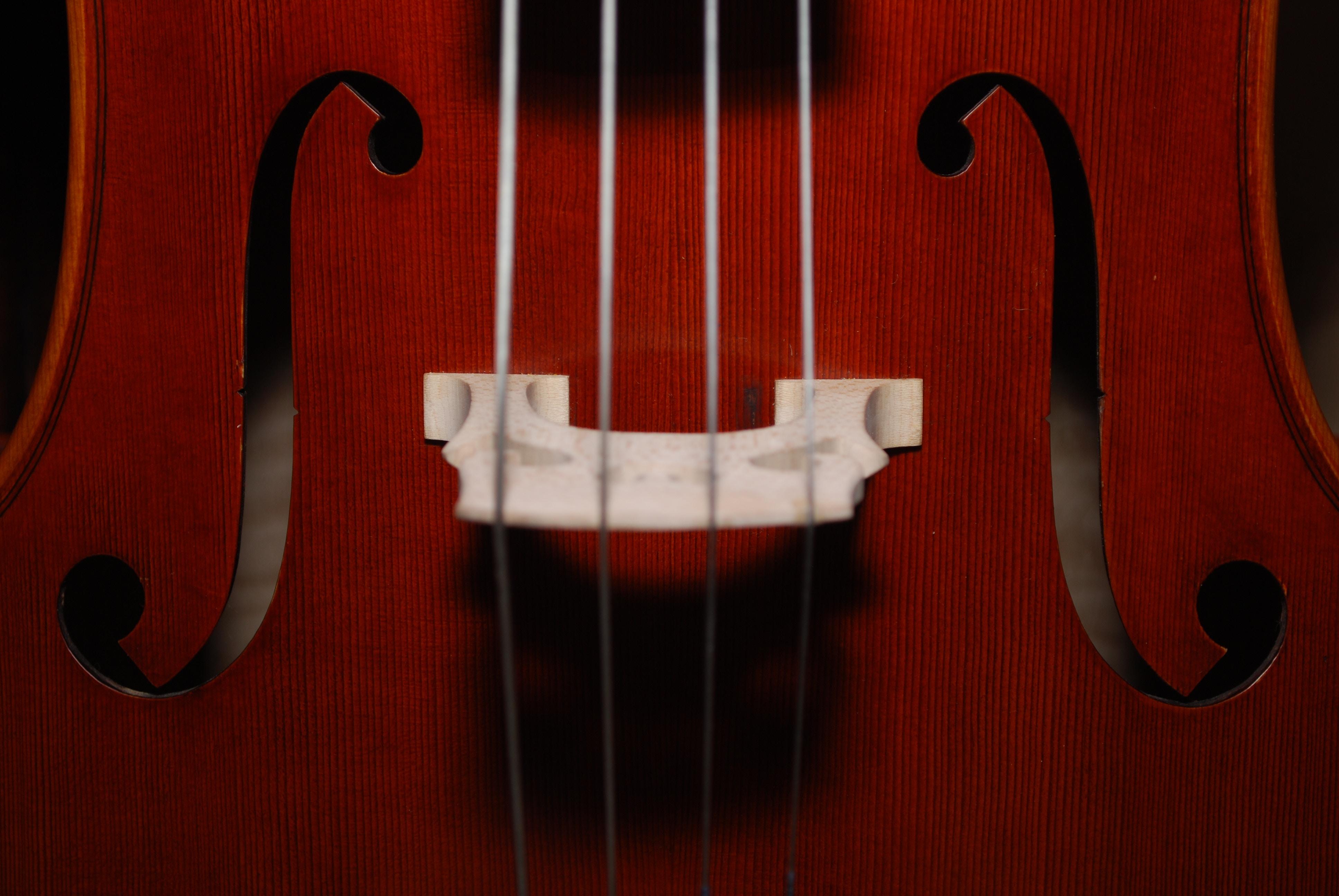 Bridge of a violin