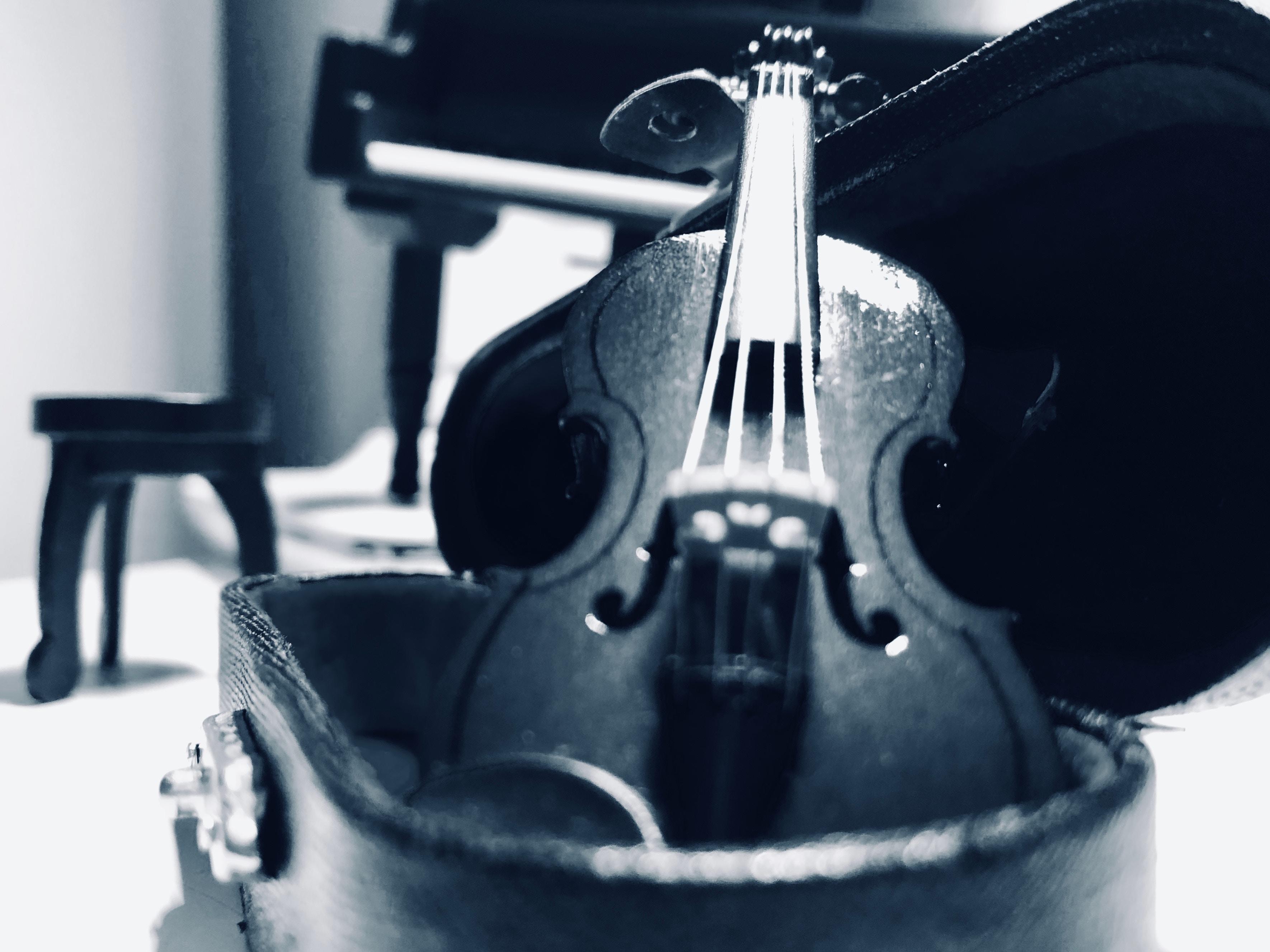 violin in violin case