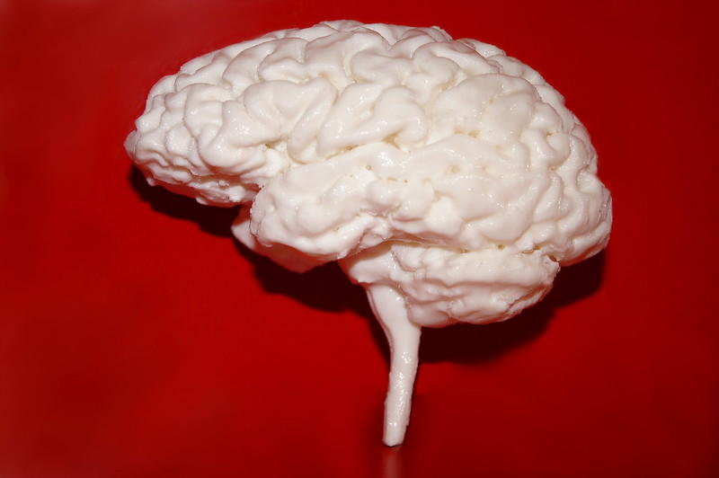 A picture of a brain behind a red canvas