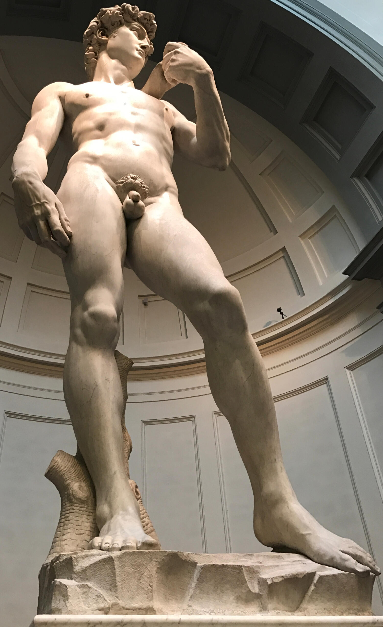 David by Michelangelo
