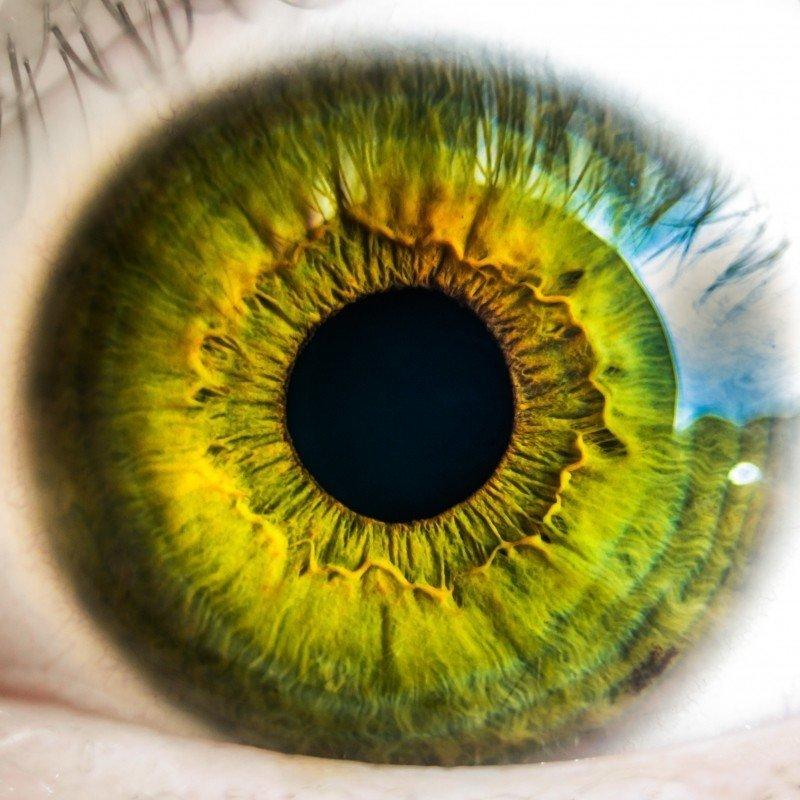 Close up of a human eye