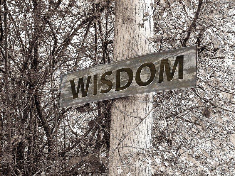 A sign reads 'Wisdom'.