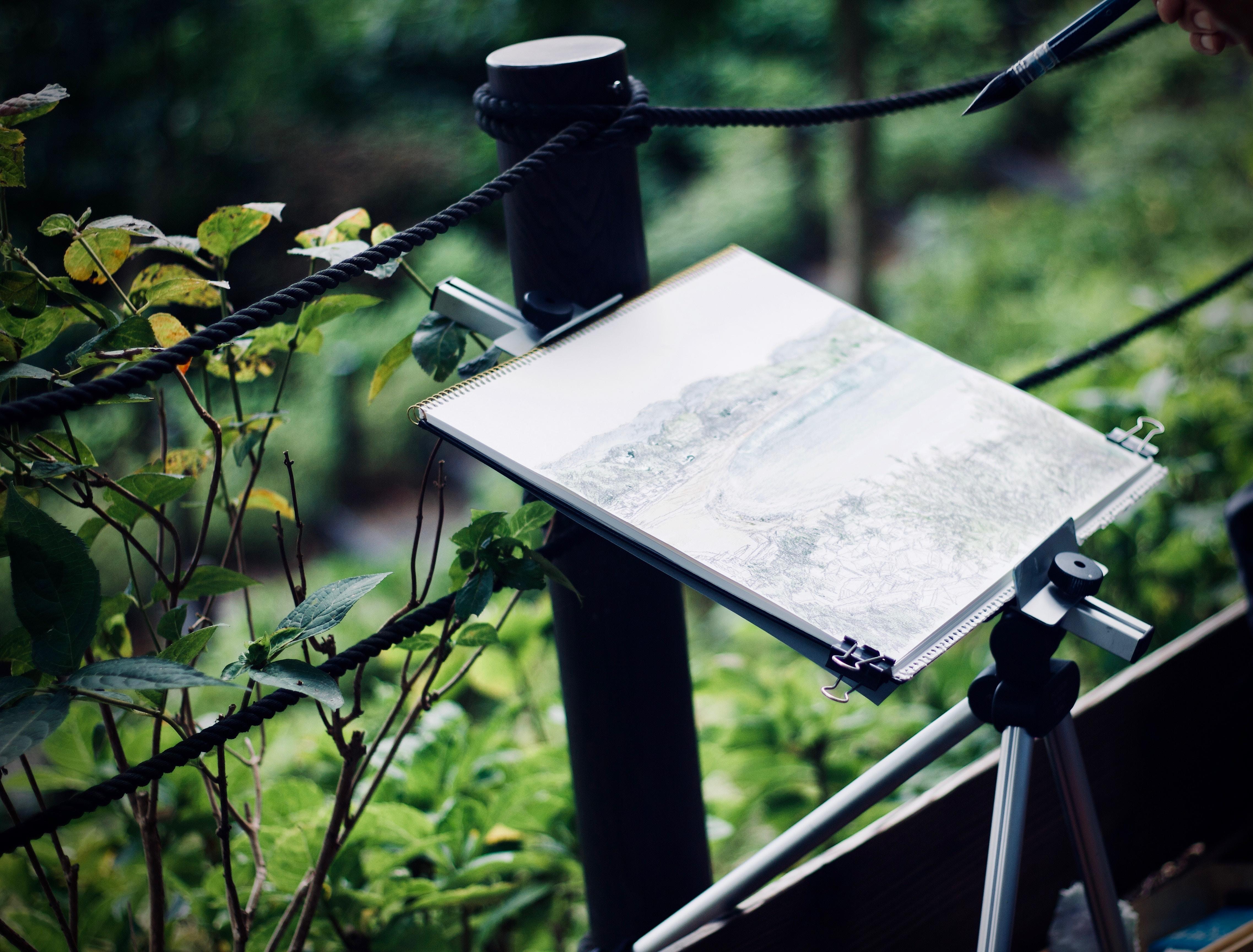 Painting plants in nature outdoors.