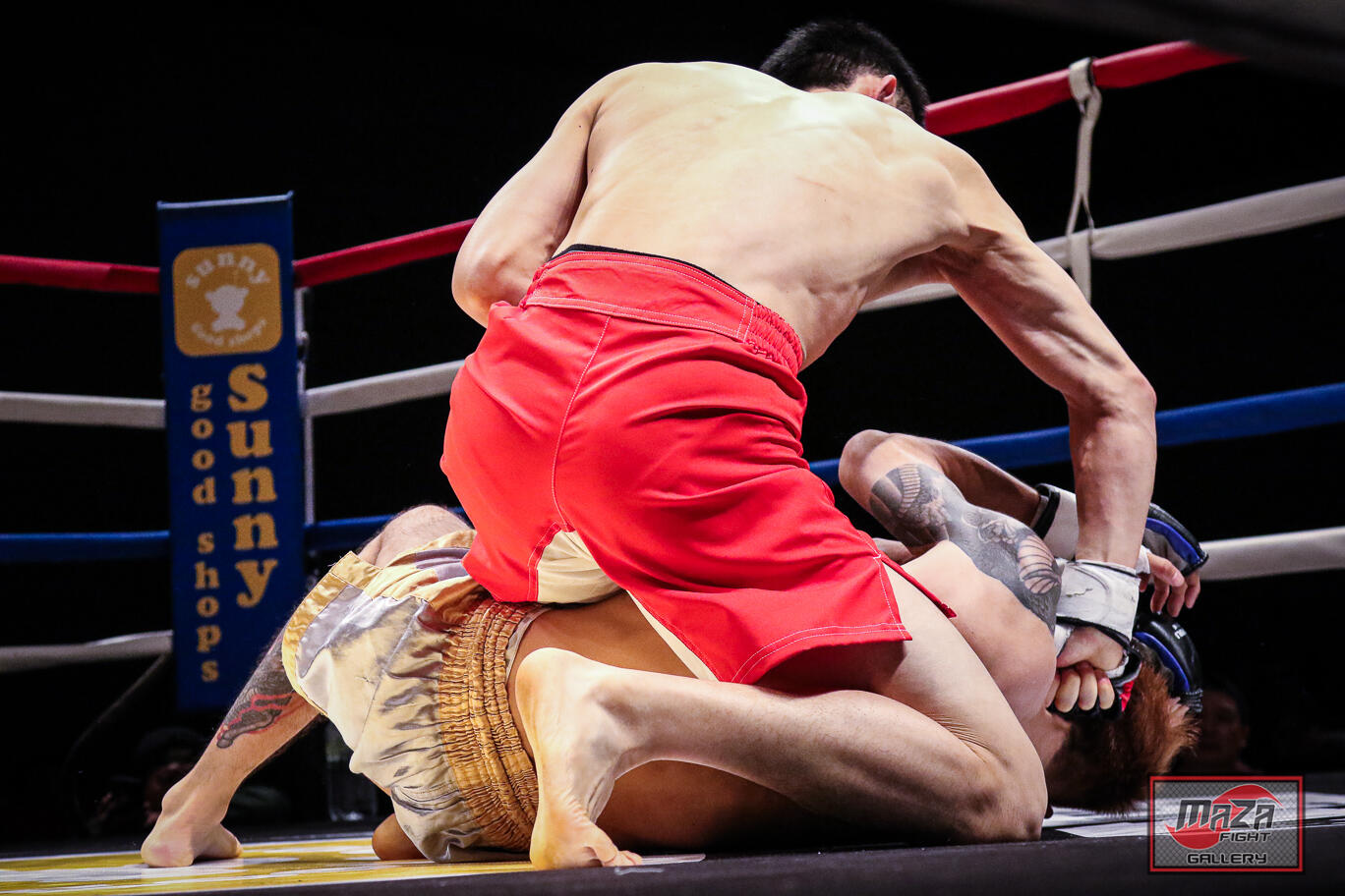 Peter Aerts in the boxing ring, throwing a punch.