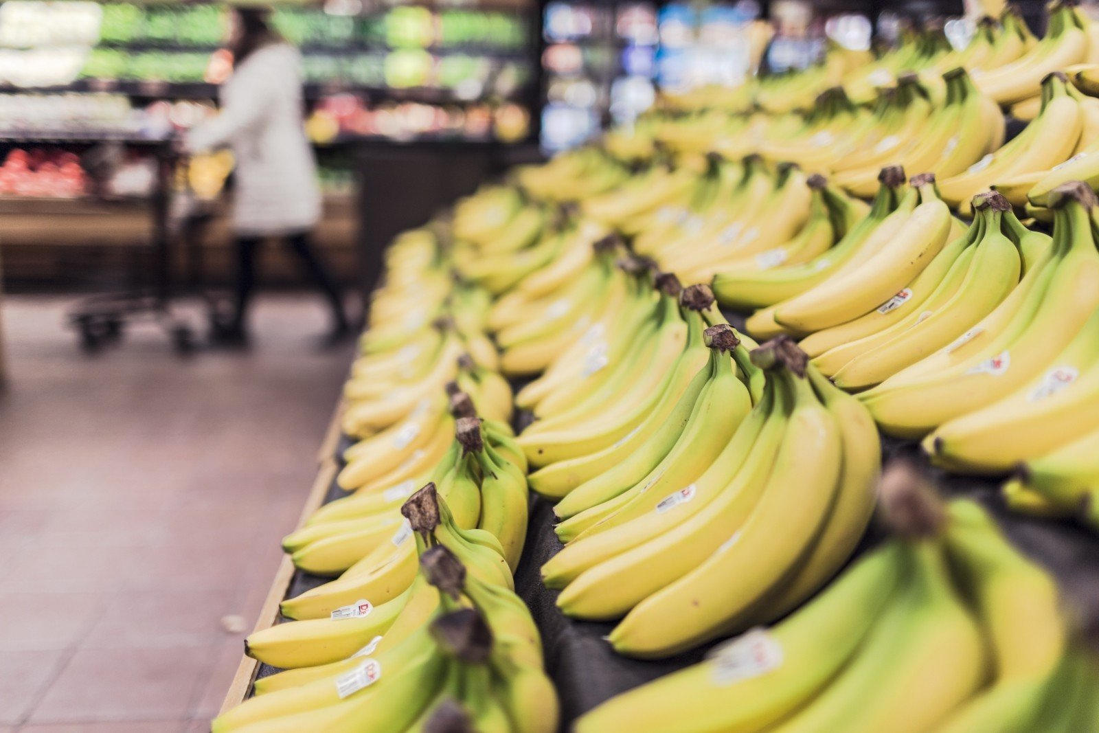 Bananas lined up on shelves at the grocery store