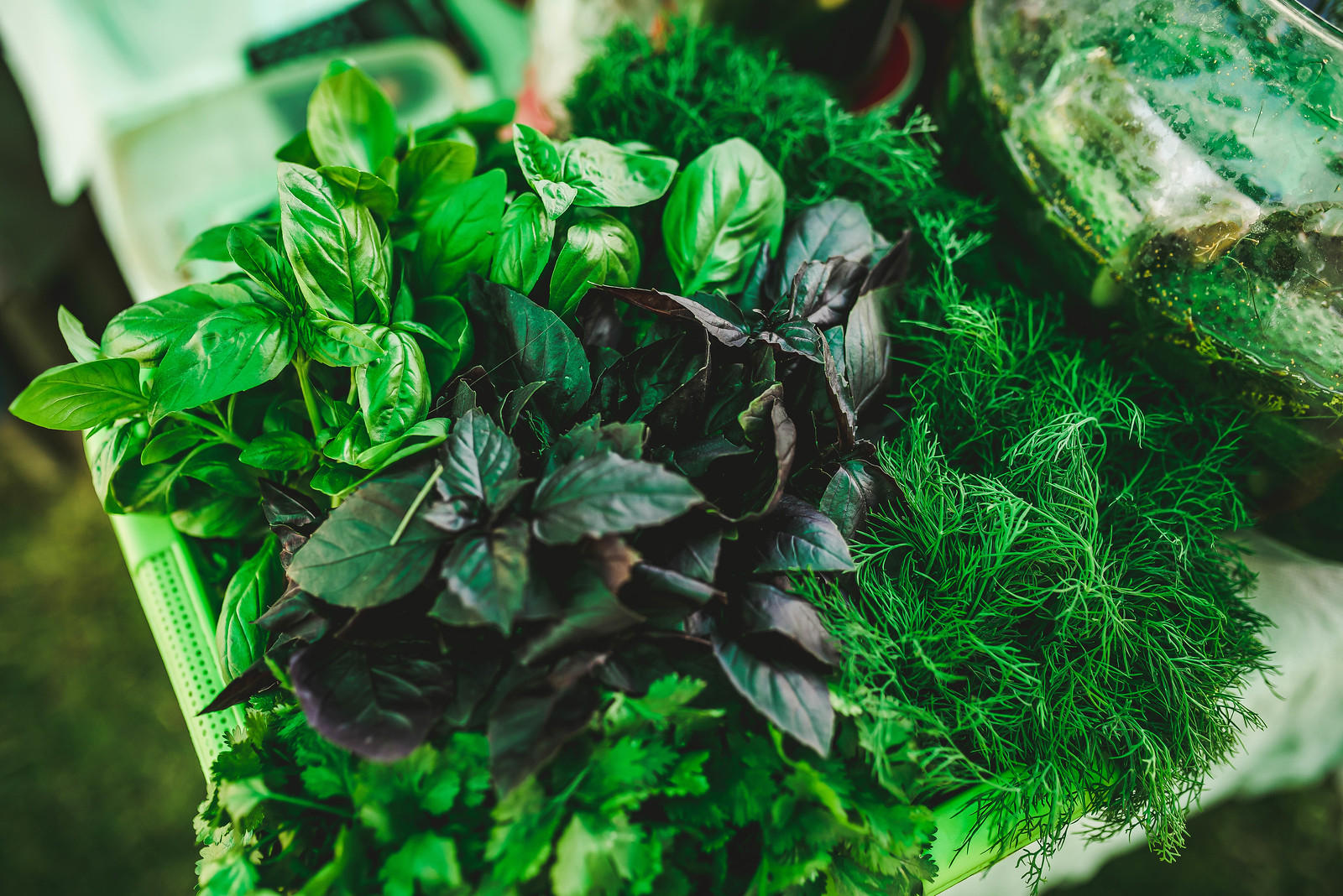 bunched herbs such as basil, cilantro, dill