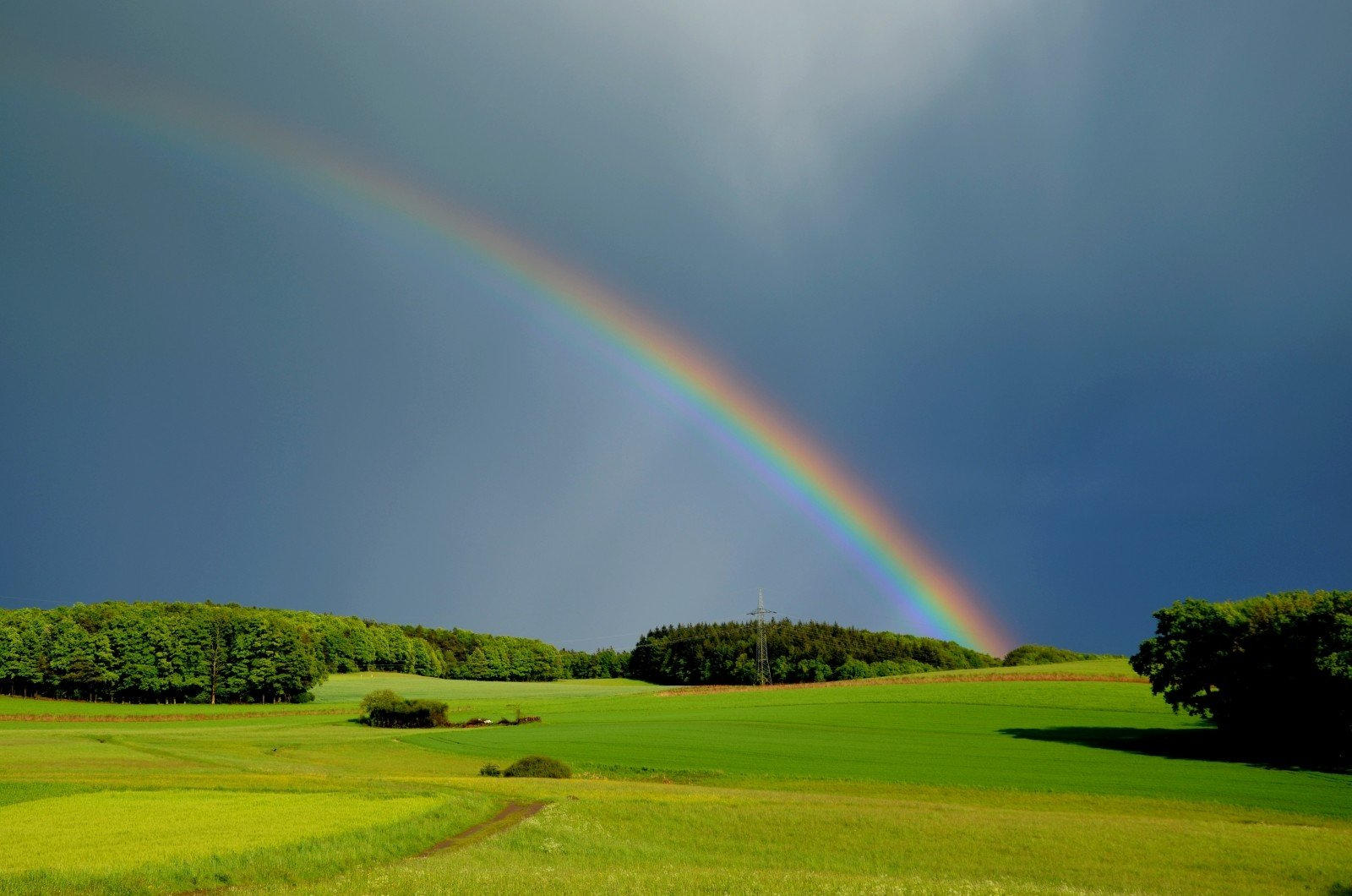rainbow in the sky